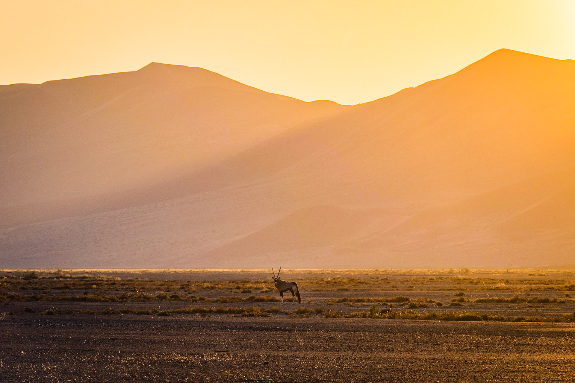 Sonnenuntergang in der Namib