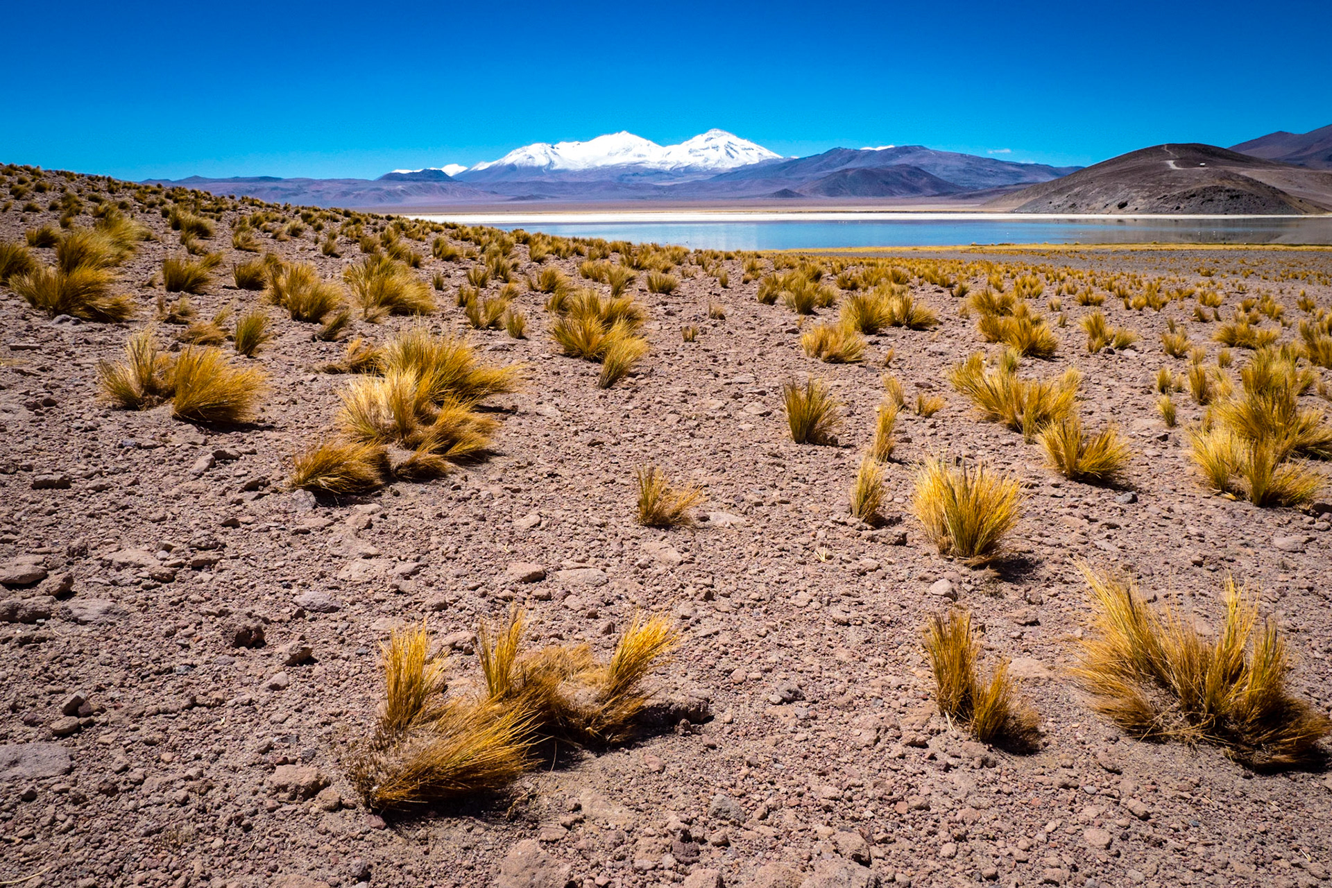 Nevado Tres Cruzes Vulkan, Laguna Rosa, Chile