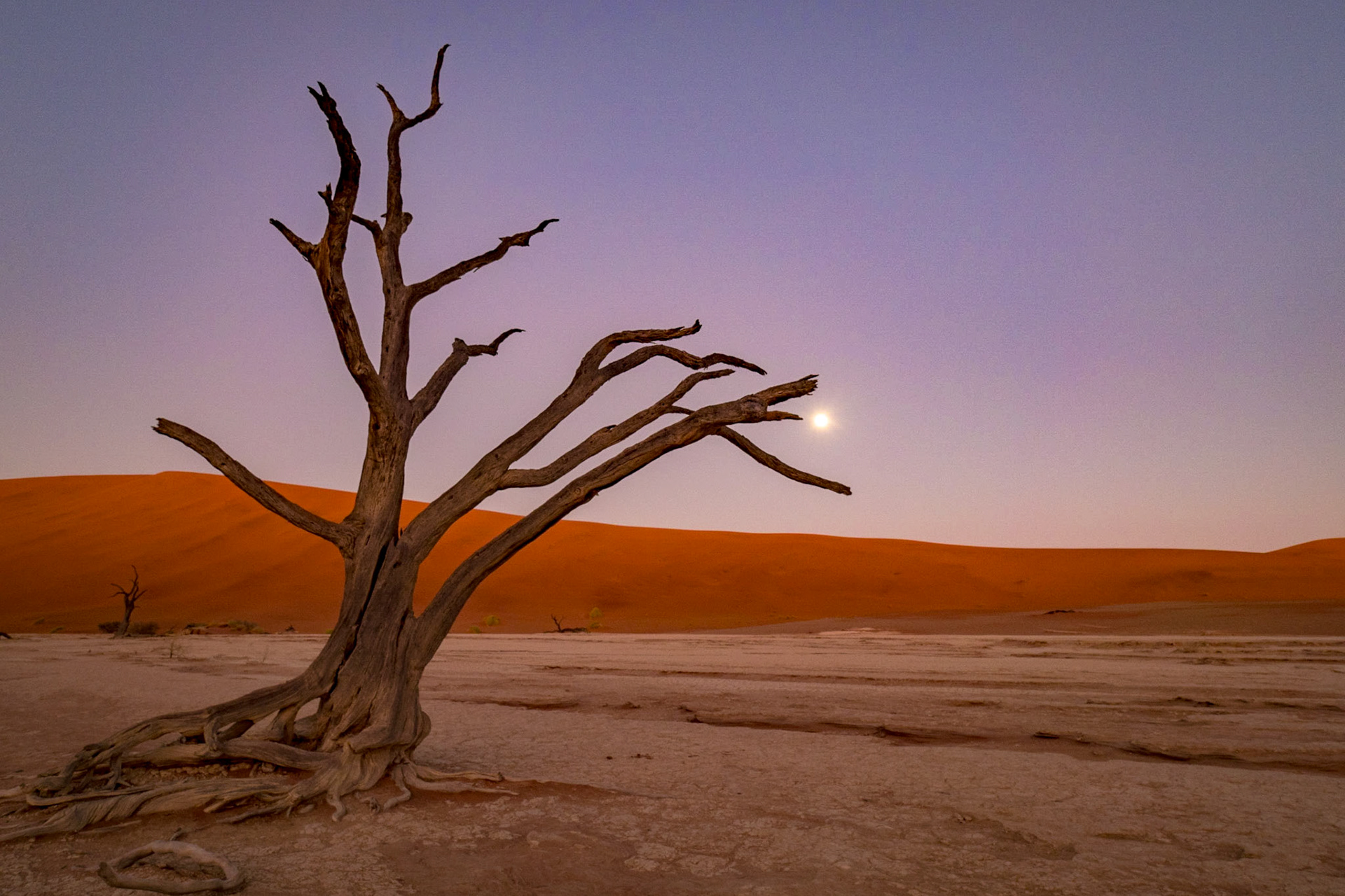 Deadvlei zum Vollmond