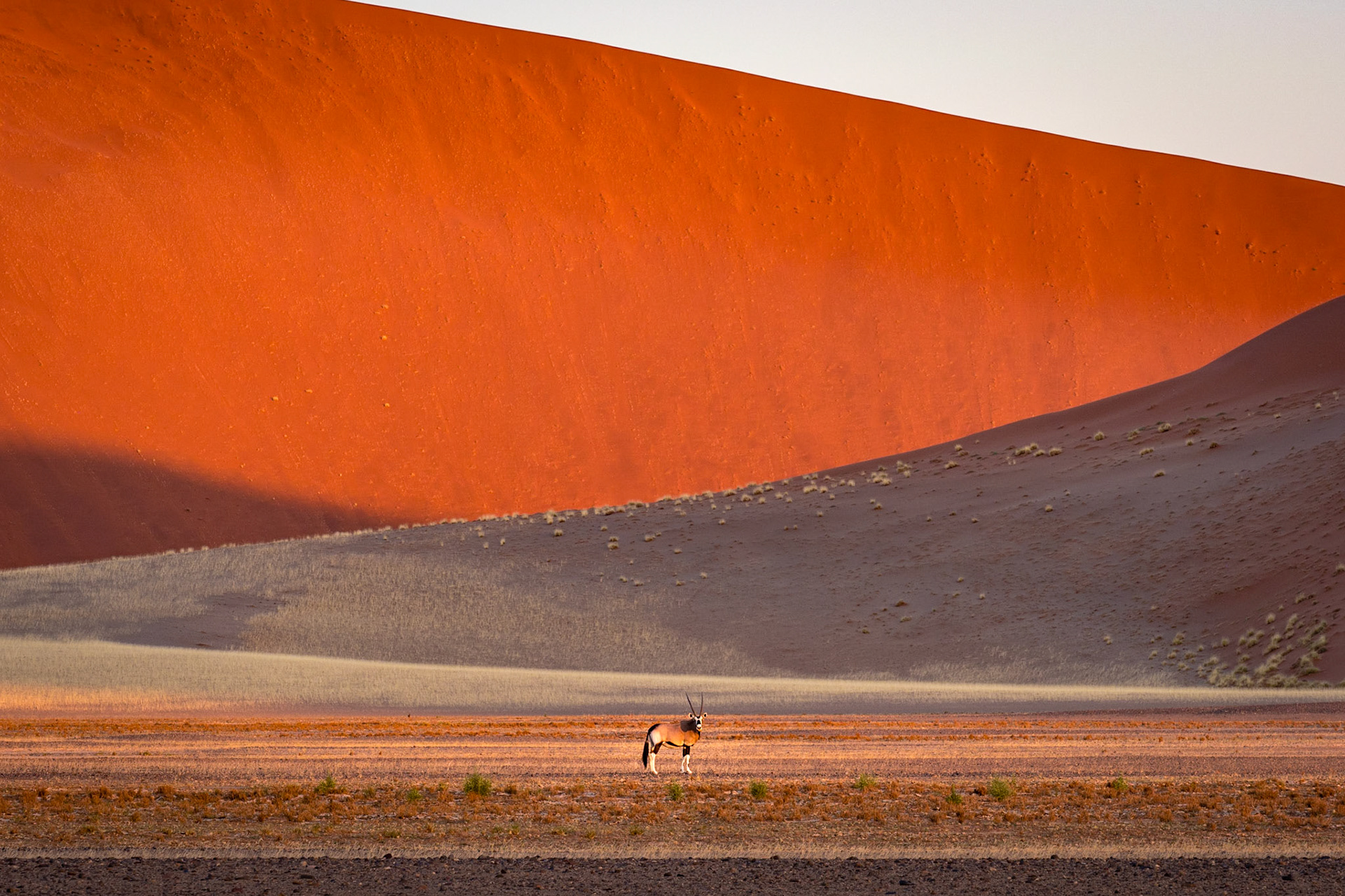 Rote Dünen der Namib Wüste