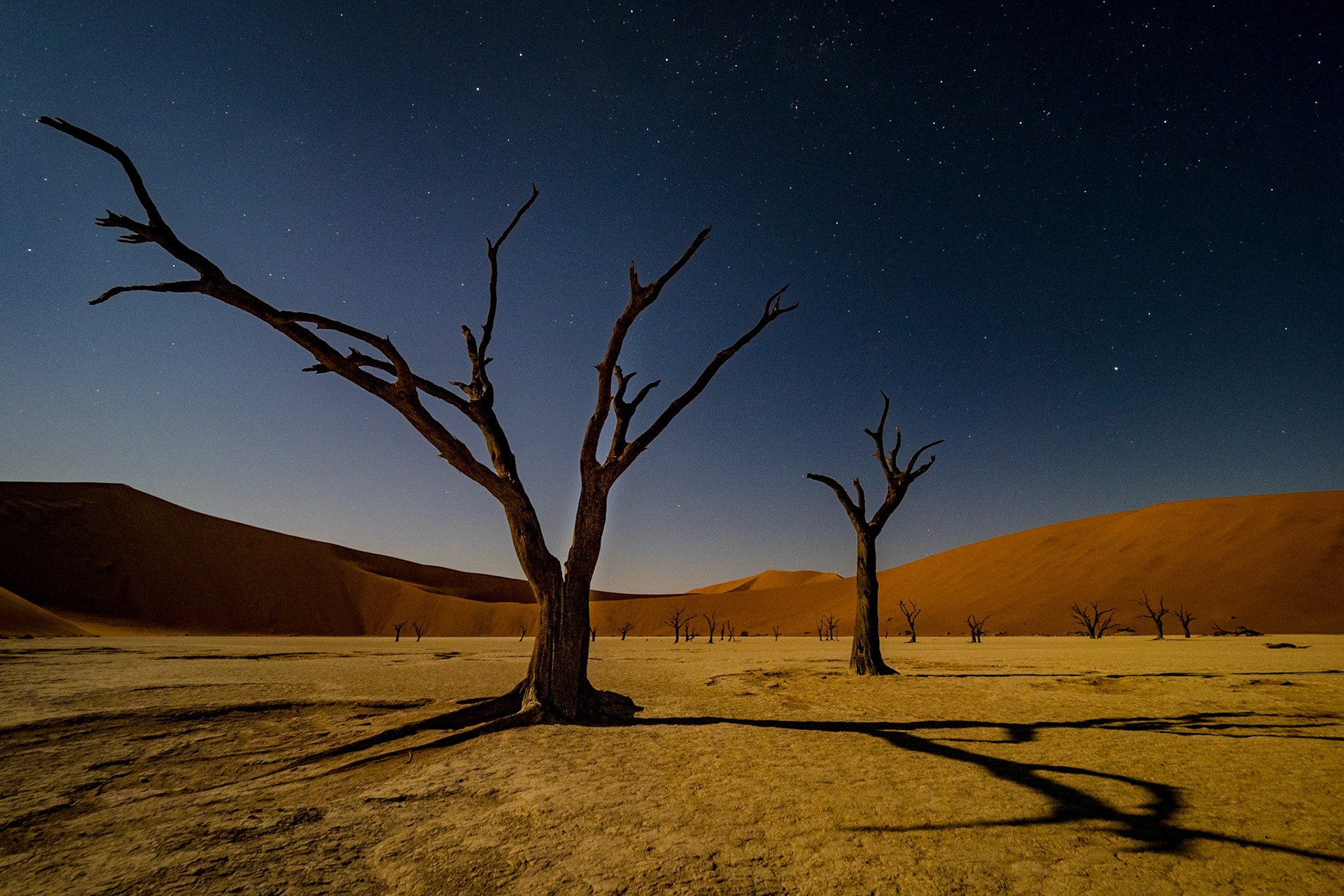 Deadvlei zum Vollmond
