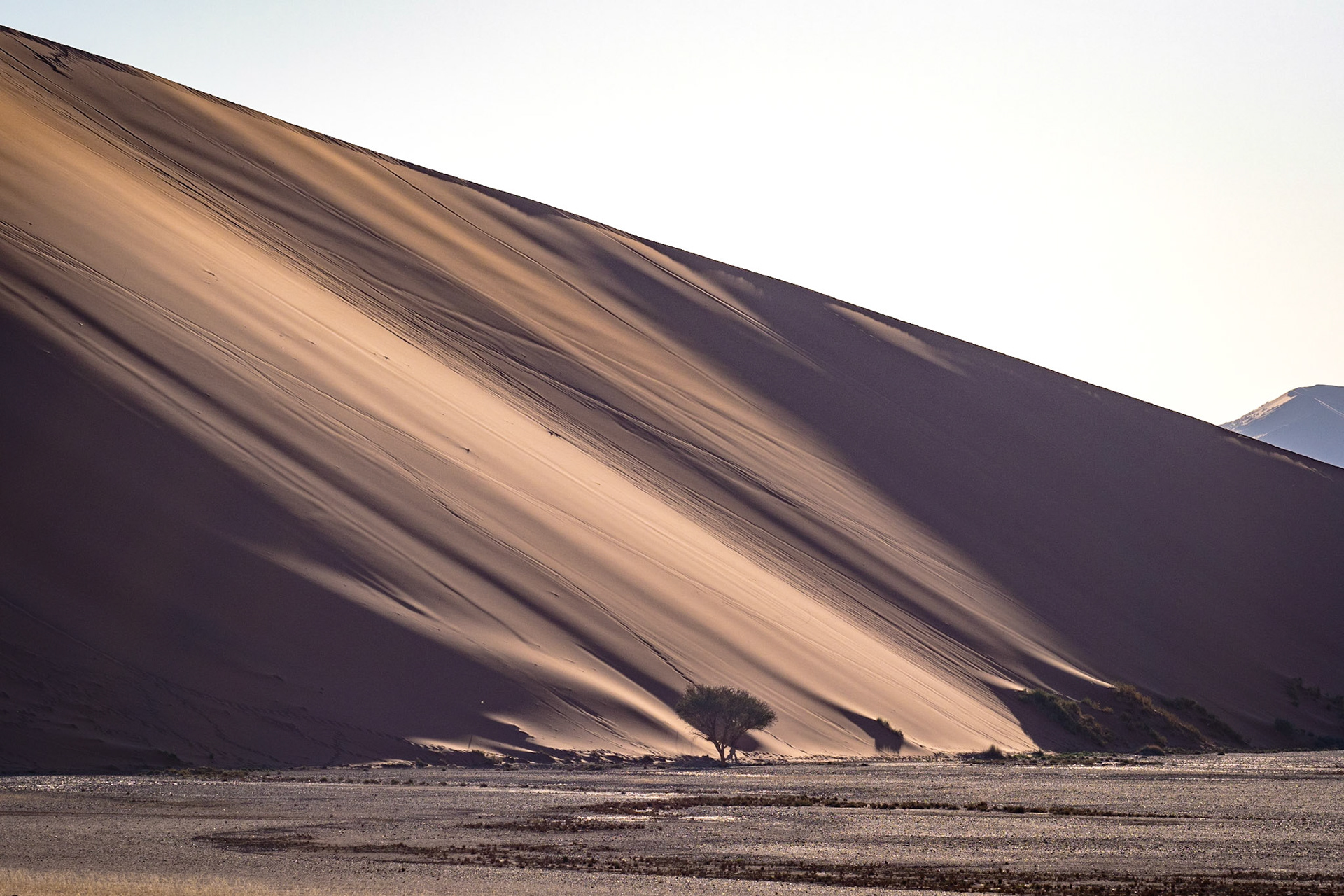 Rote Dünen der Namib Wüste
