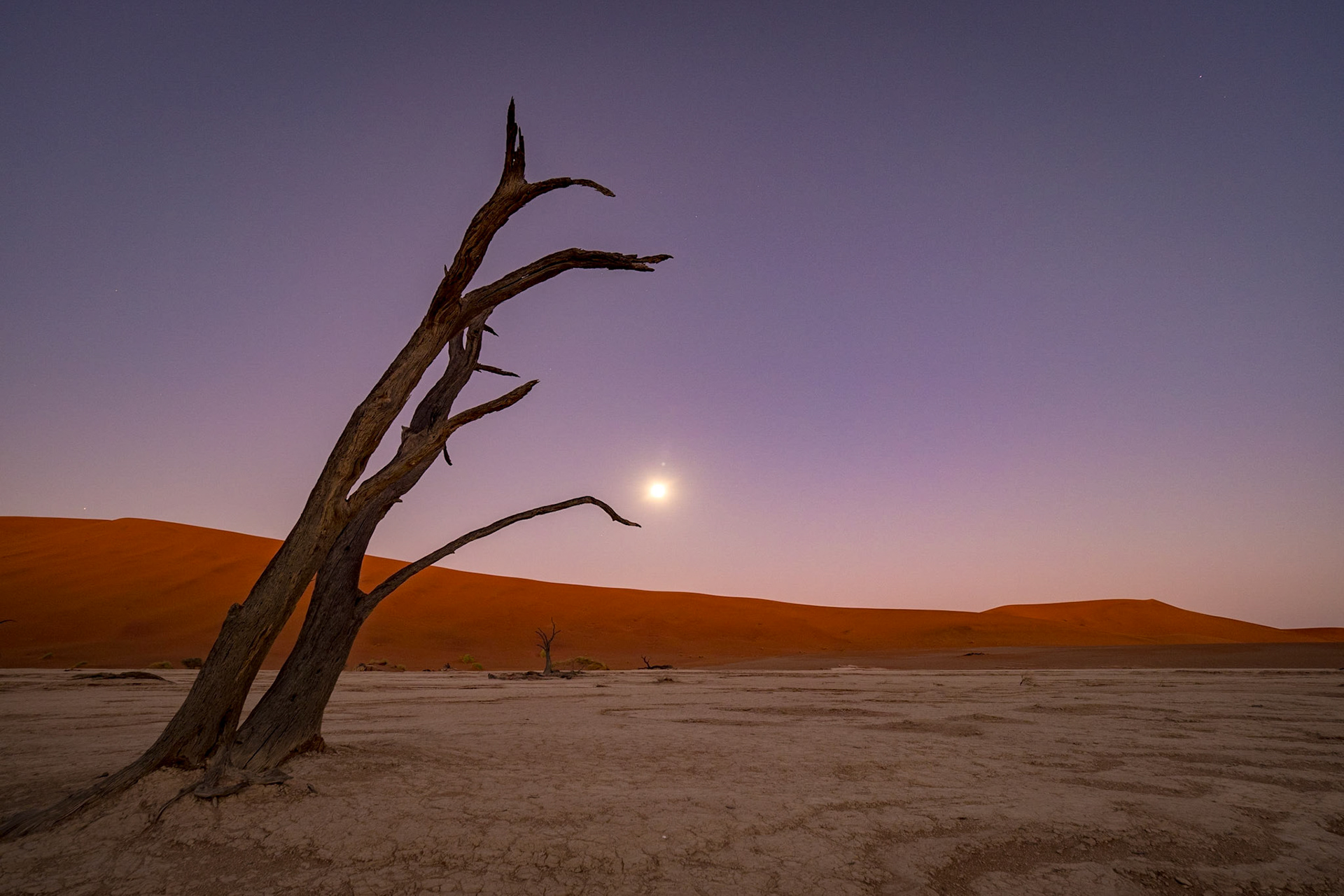 Deadvlei zum Vollmond