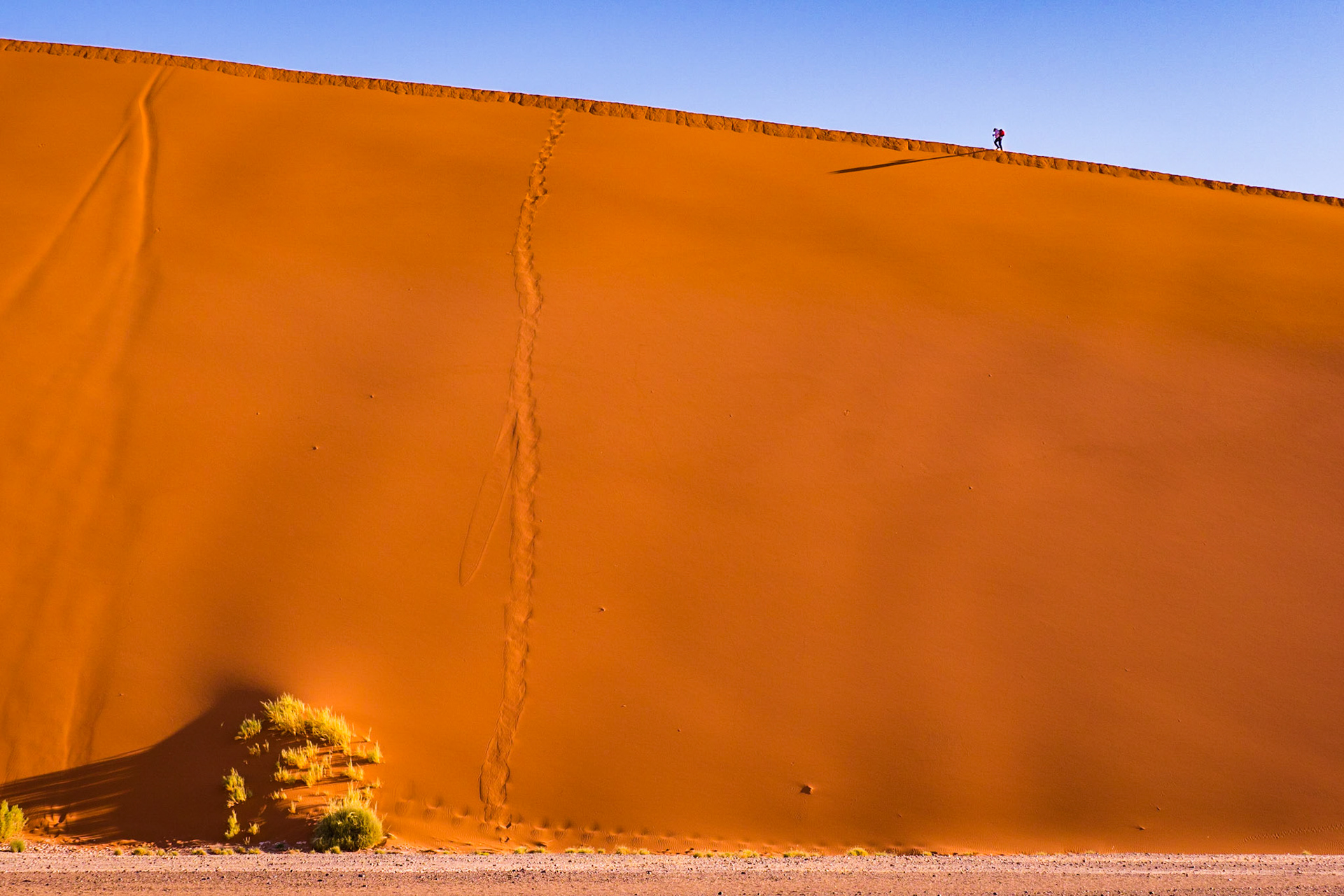 Rote Dünen der Namib Wüste