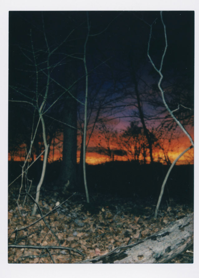We chased the sunset and found ourselves on the other side with our knees bruised and scraped.