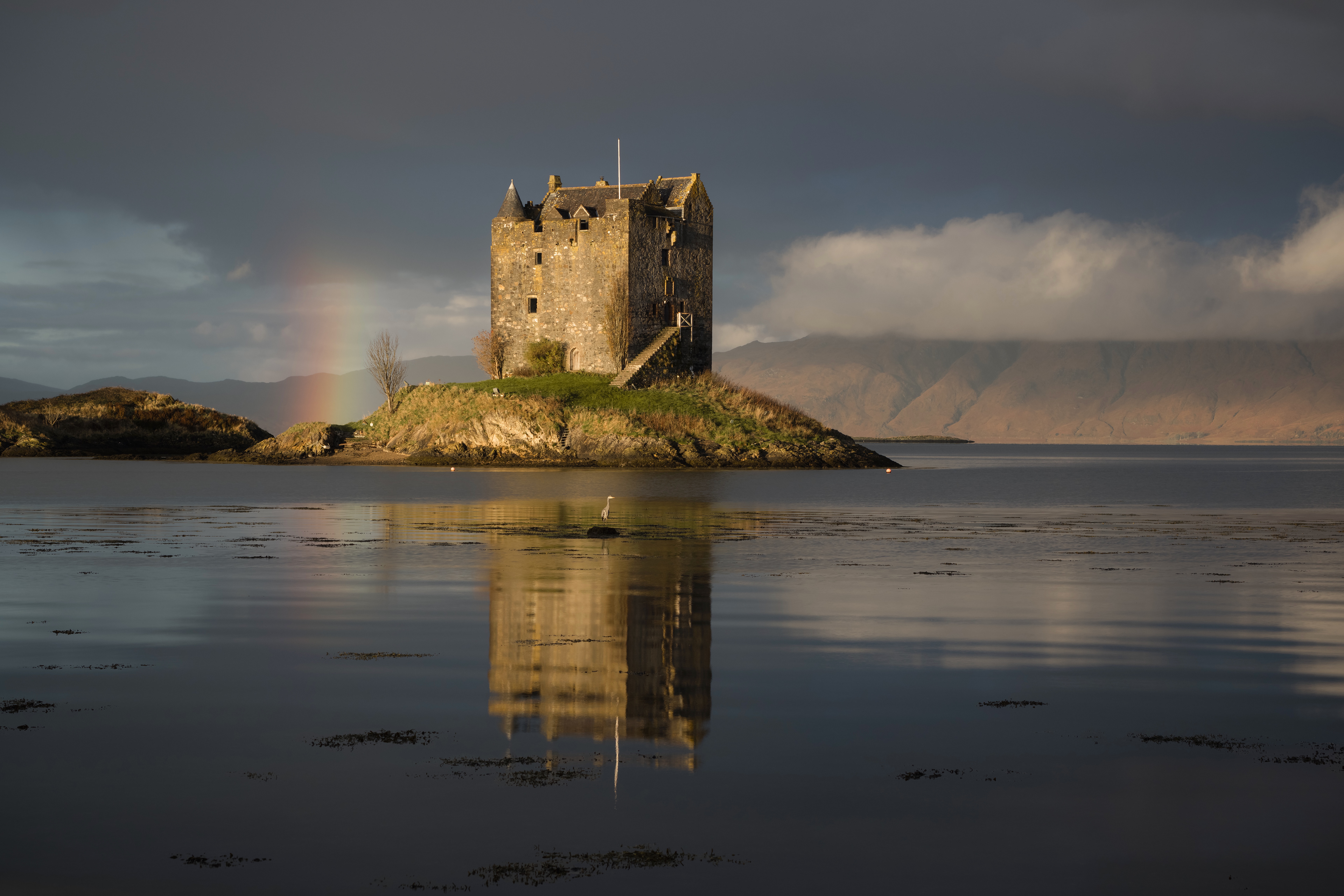 Castle Stalker and its Grey Heron