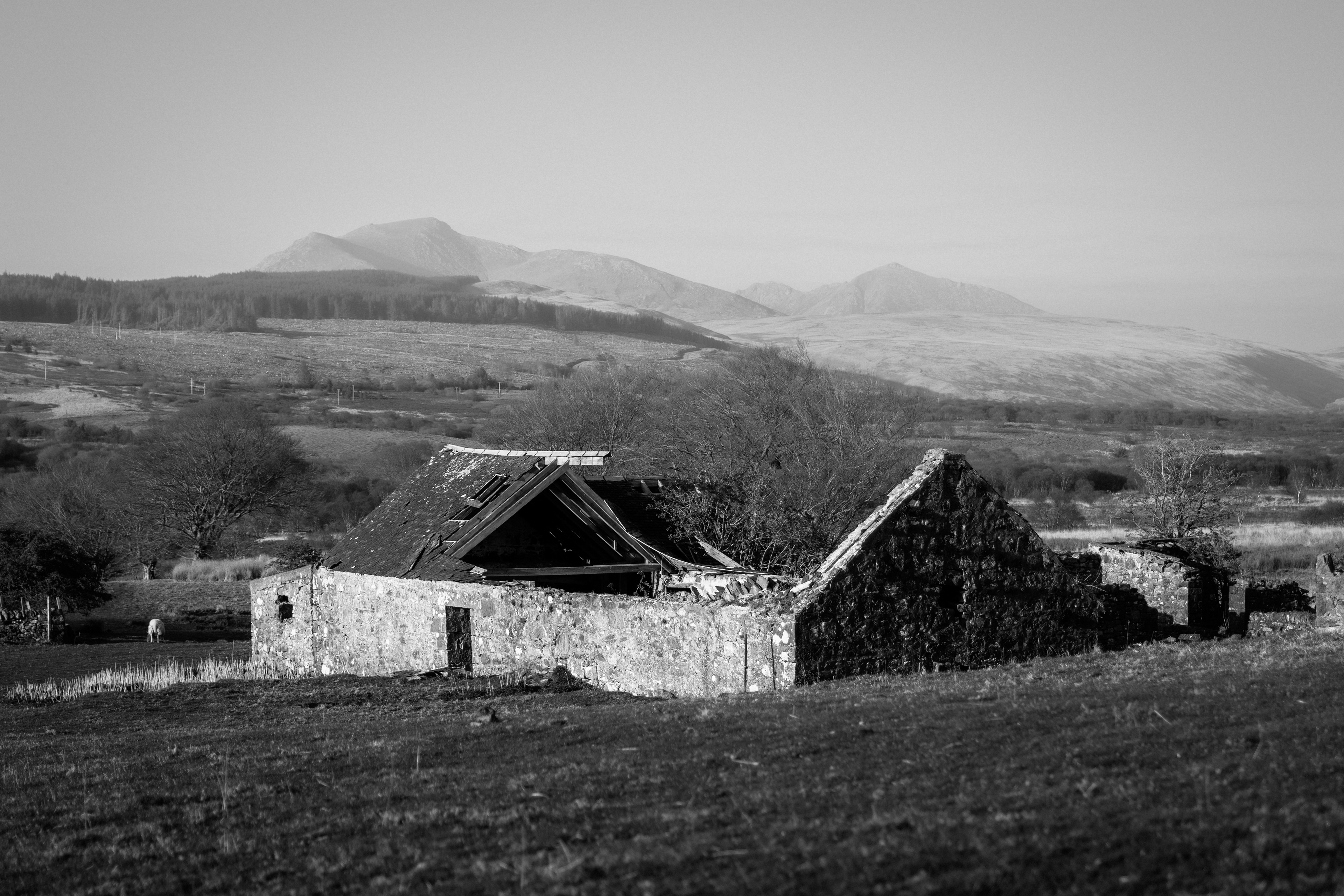 Machrie Moor, Isle of Arran
