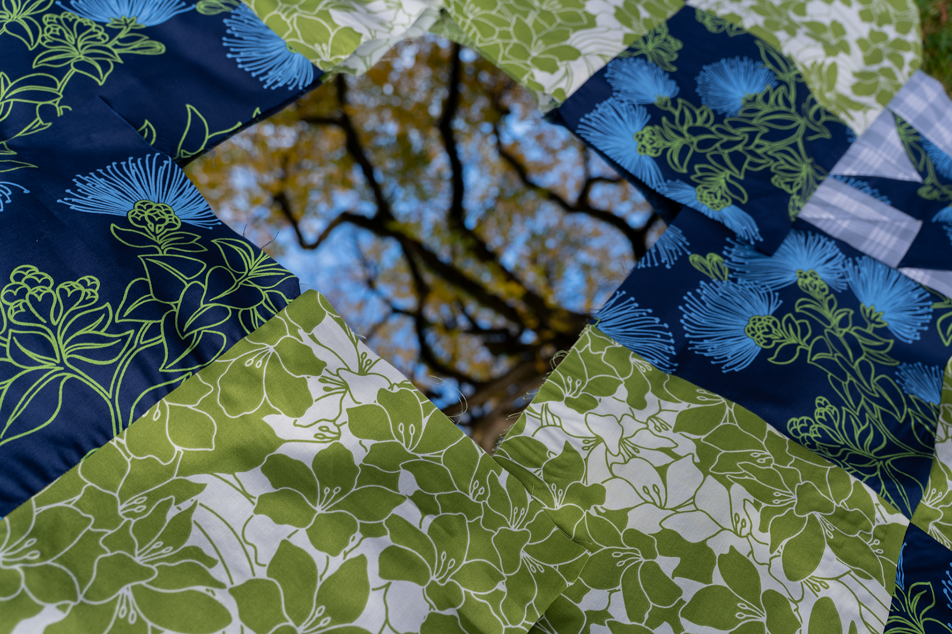 Lilies Upon Reflection, 2025