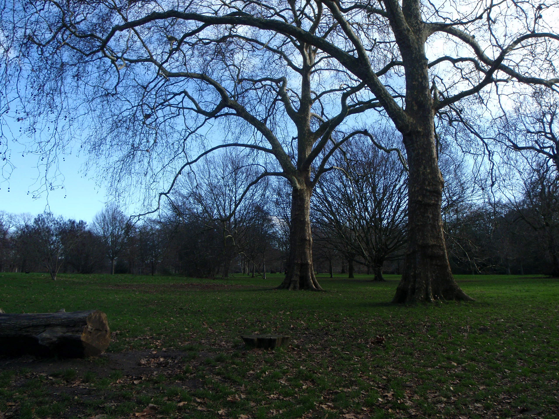 Hyde Park