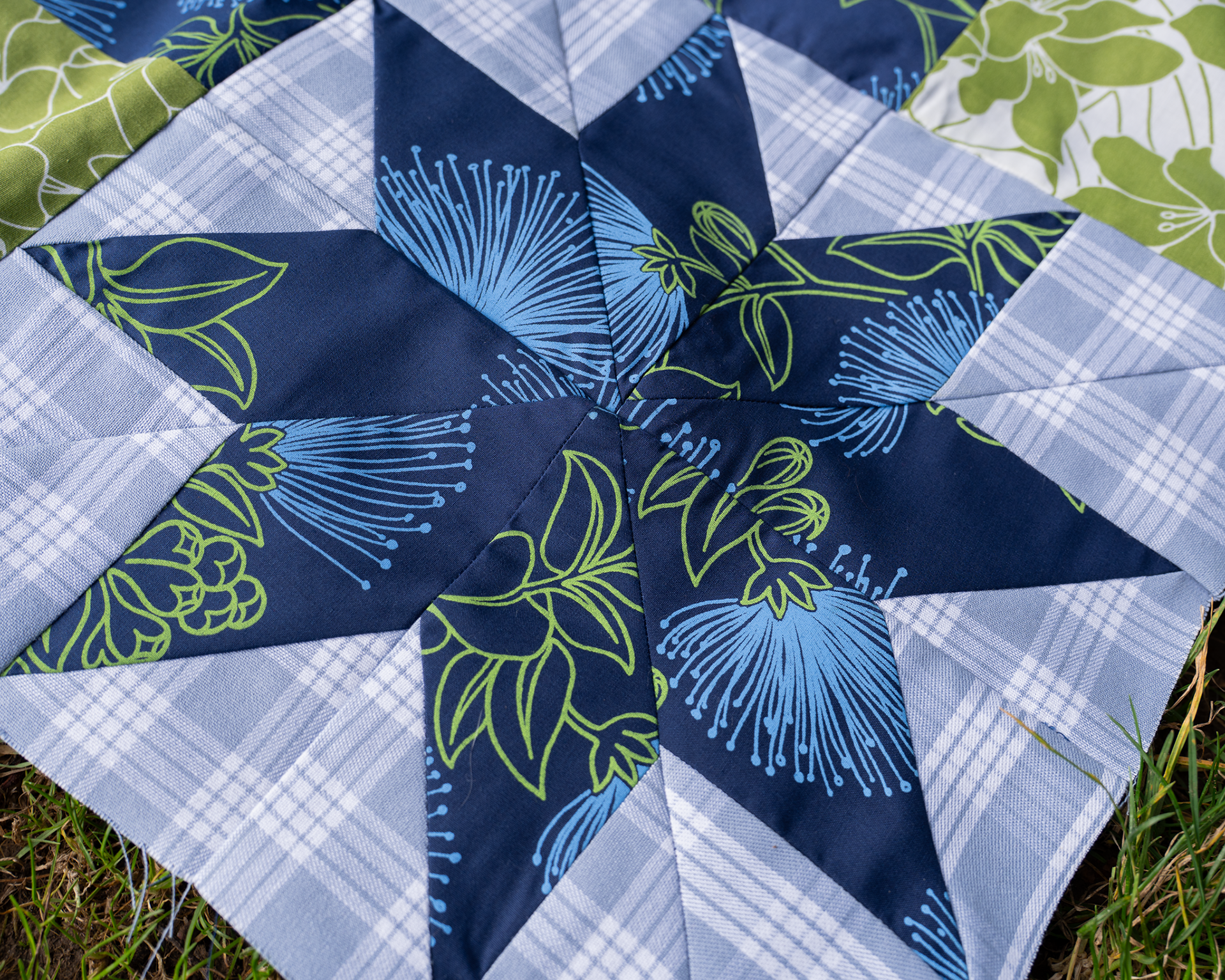 Lilies Upon Reflection, 2025