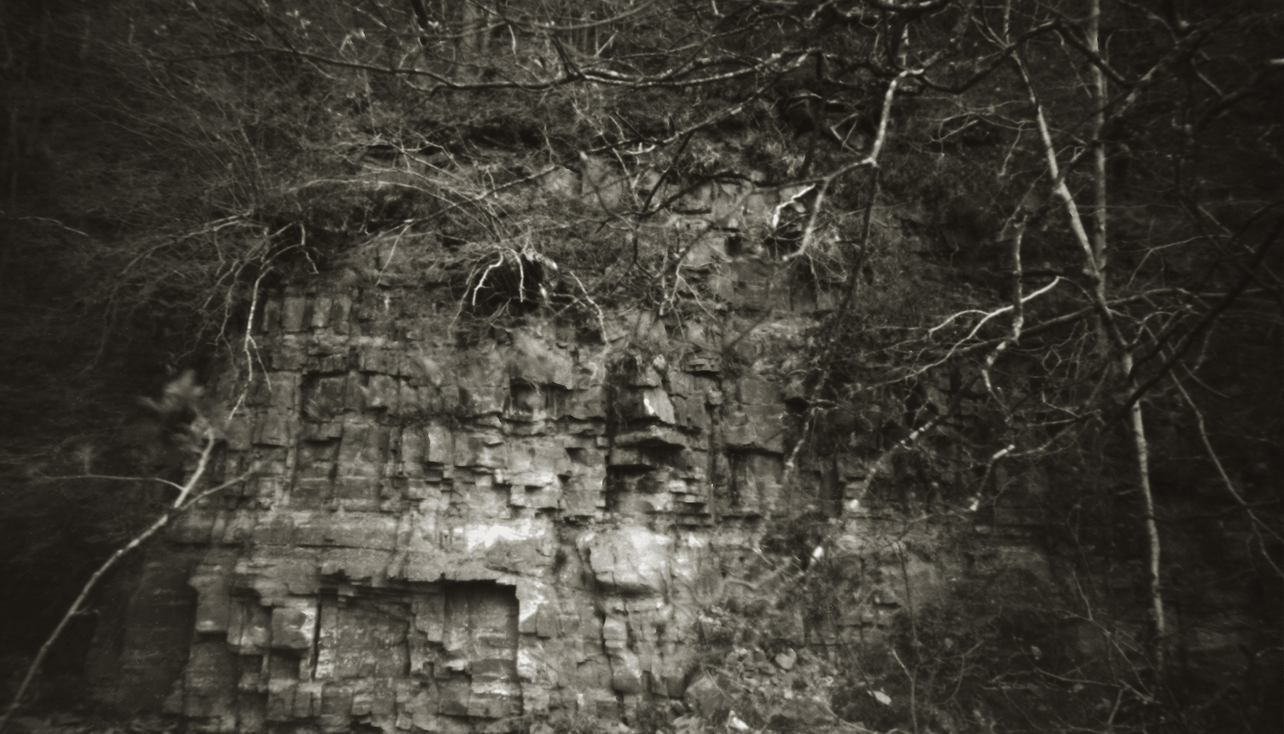 Ian Gale - Looking Forward, 26th April (pinhole)