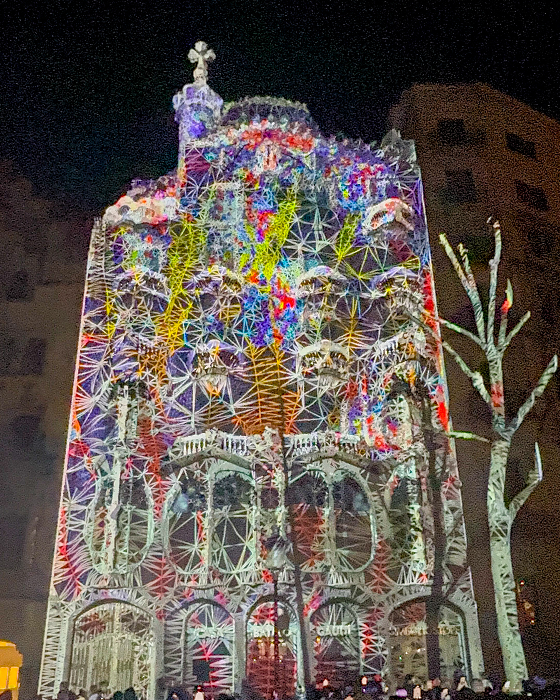 Casa batllo - gaudi - barcelona - mapping
