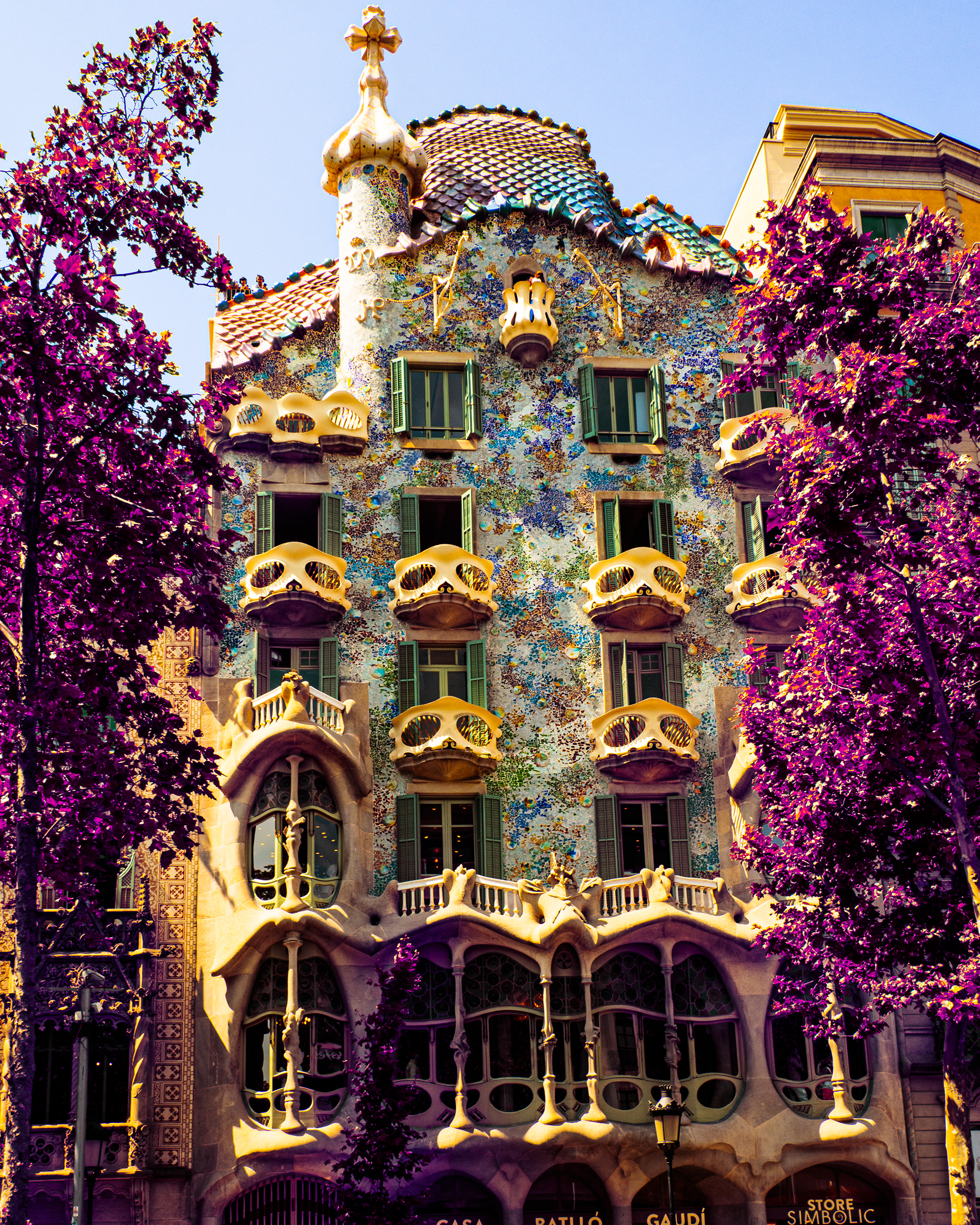 Casa batllo - gaudi - barcelona