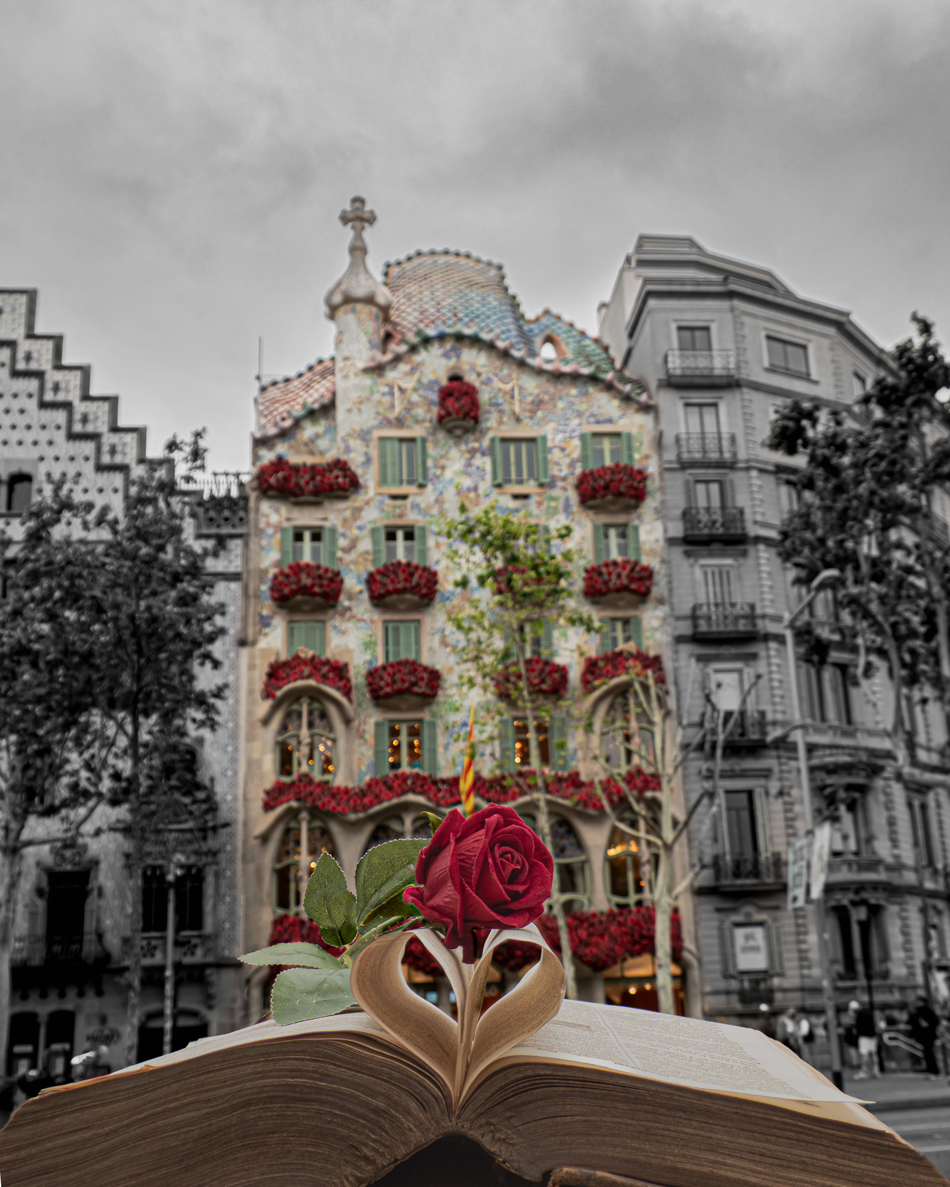 Casa batllo - gaudi - barcelona - sant jordi