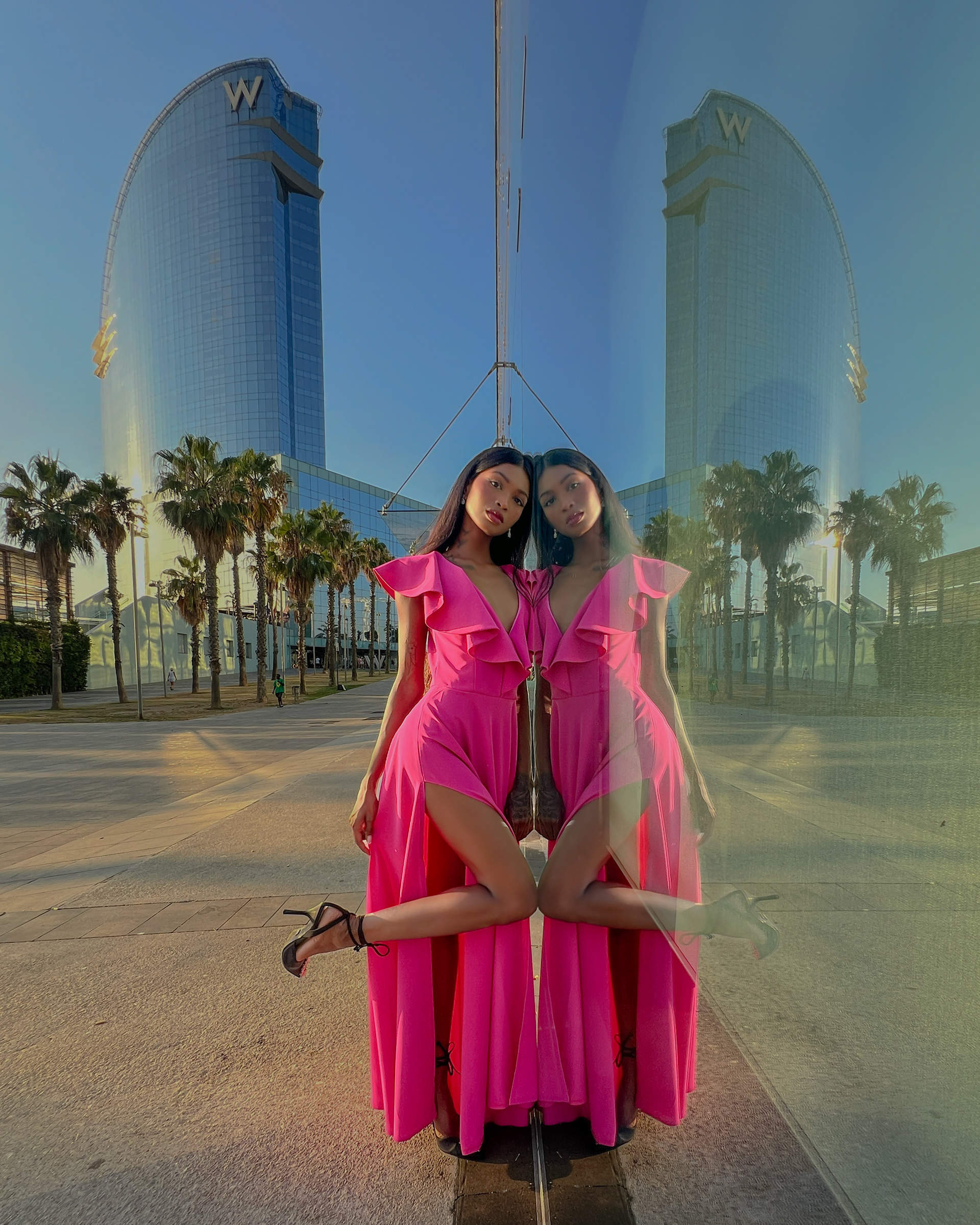 Ela Naranayian  reflection