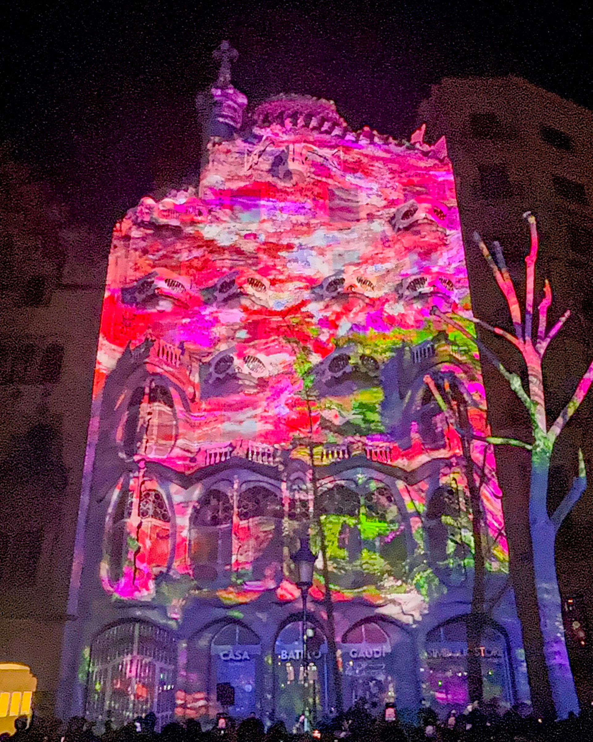 Casa batllo - gaudi - barcelona - mapping