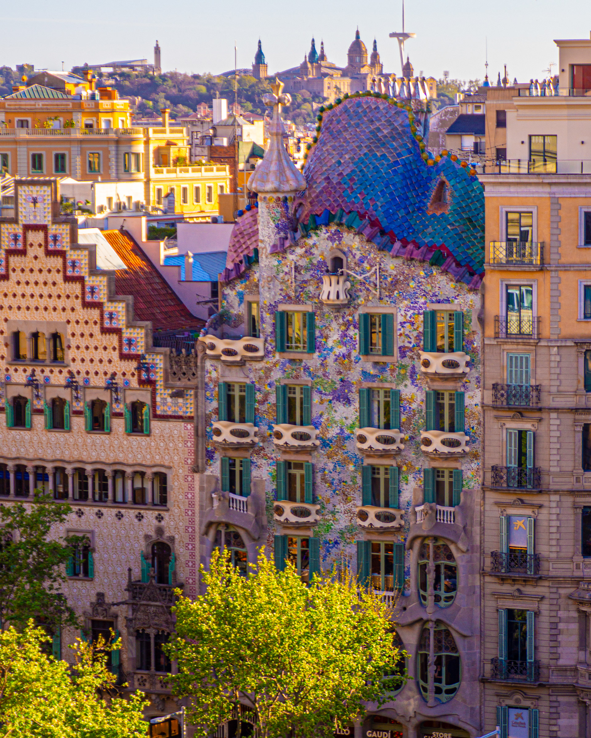Casa batllo - gaudi - barcelona