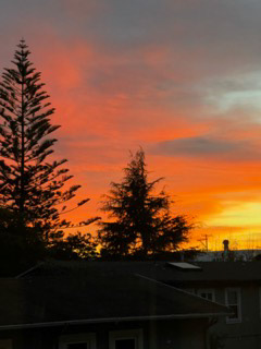 Berkeley, California, US