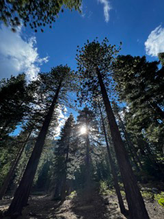 Tahoe, California, US