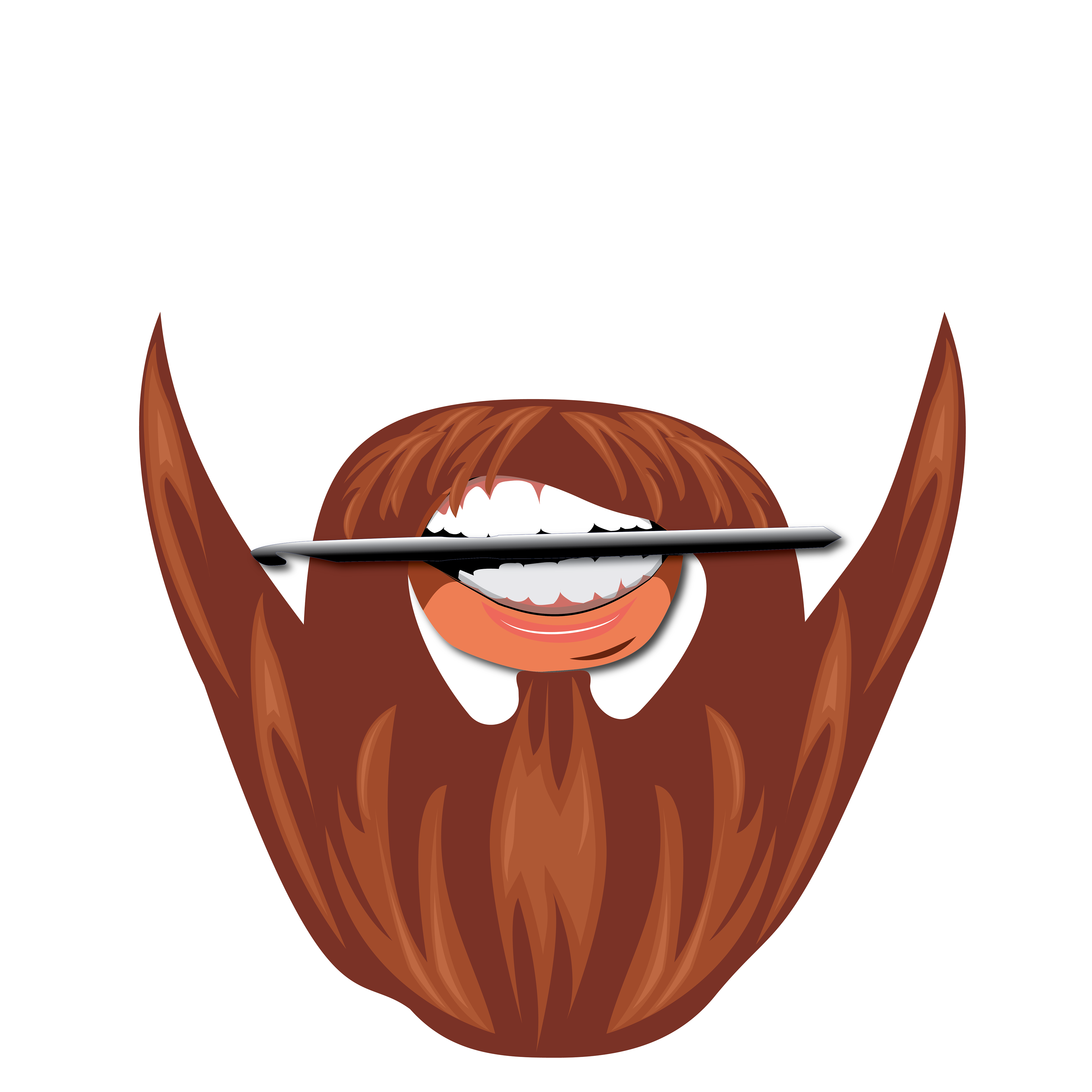 Adobe Illustrator