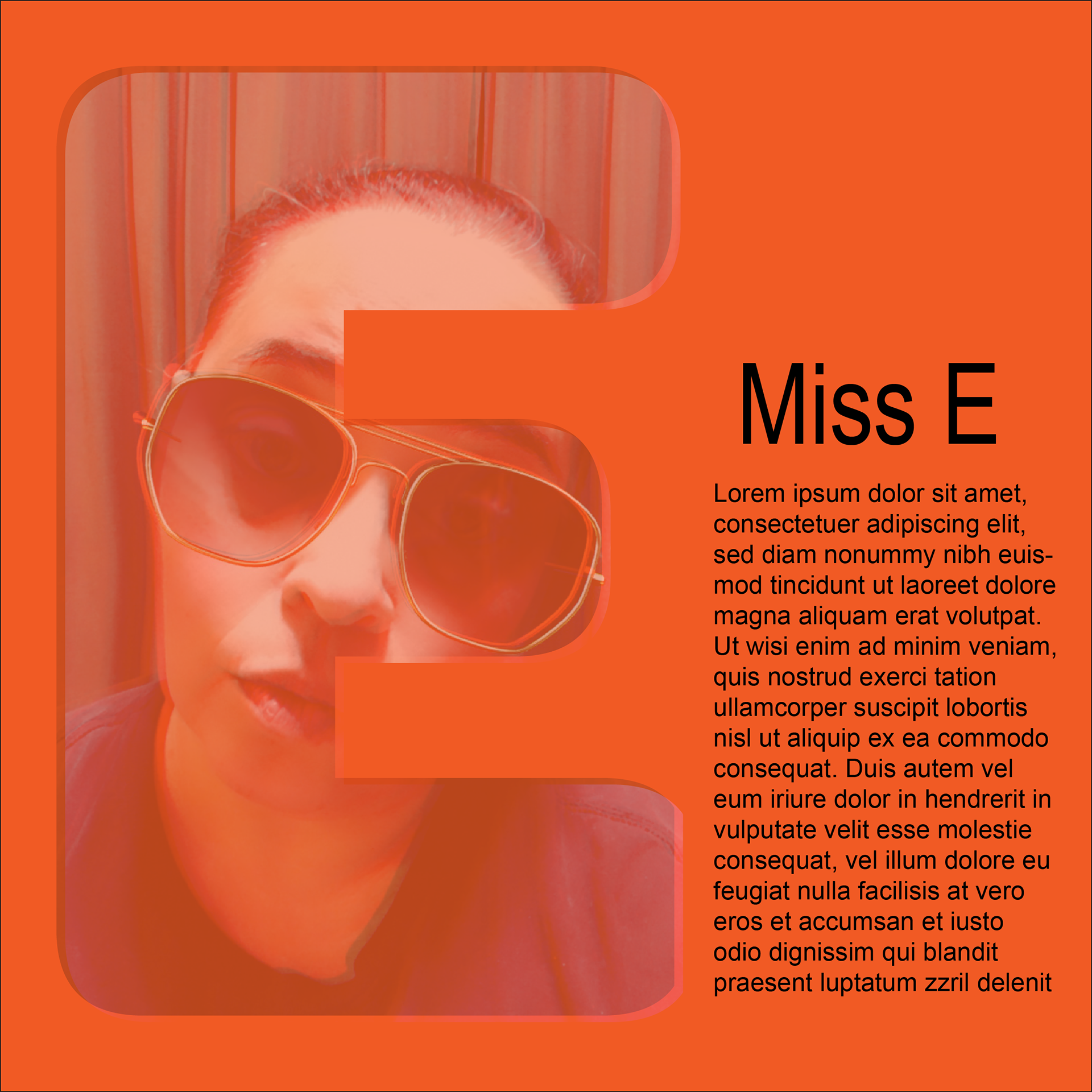 Adobe Illustrator/ Course