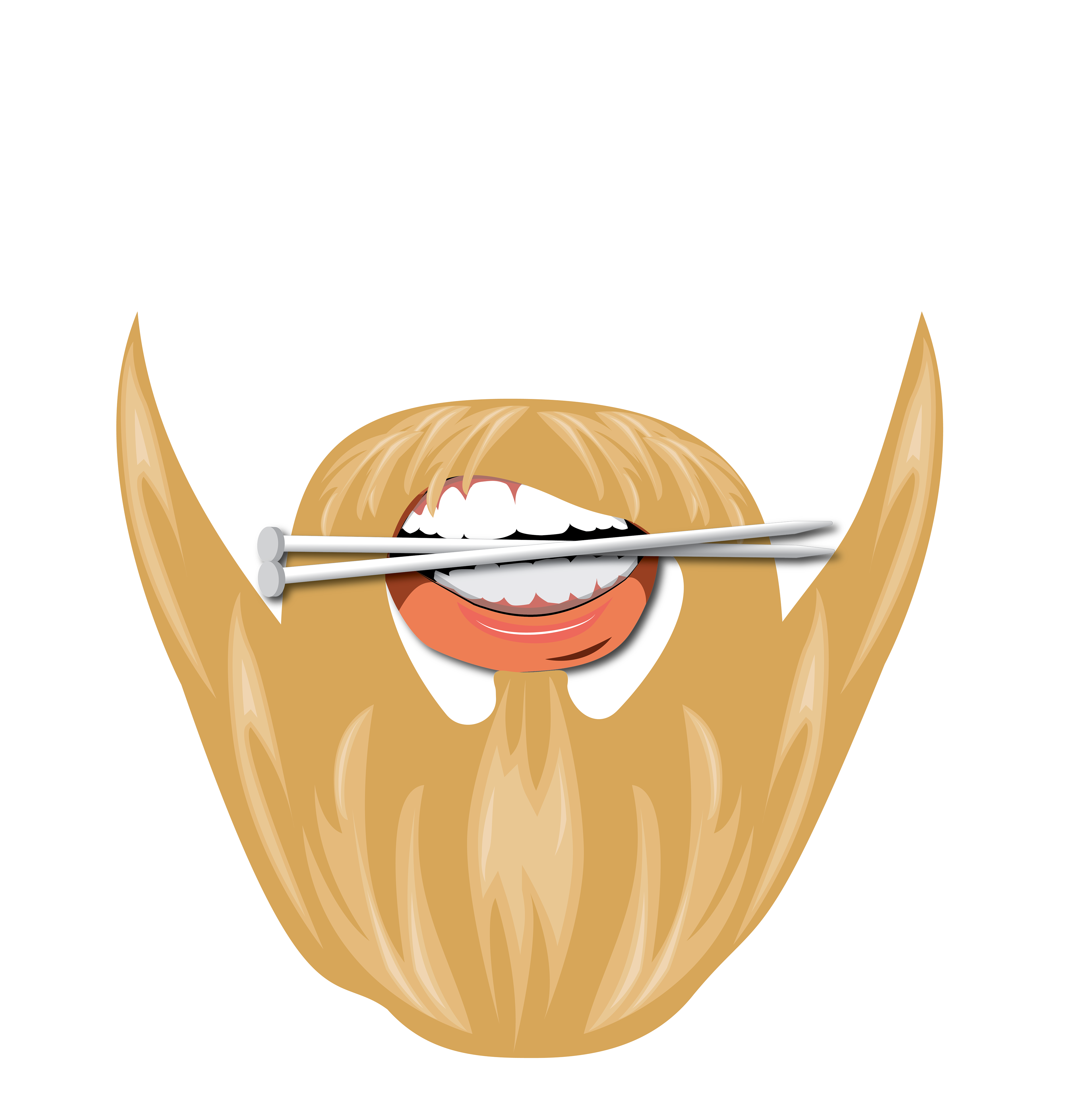 Adobe Illustrator