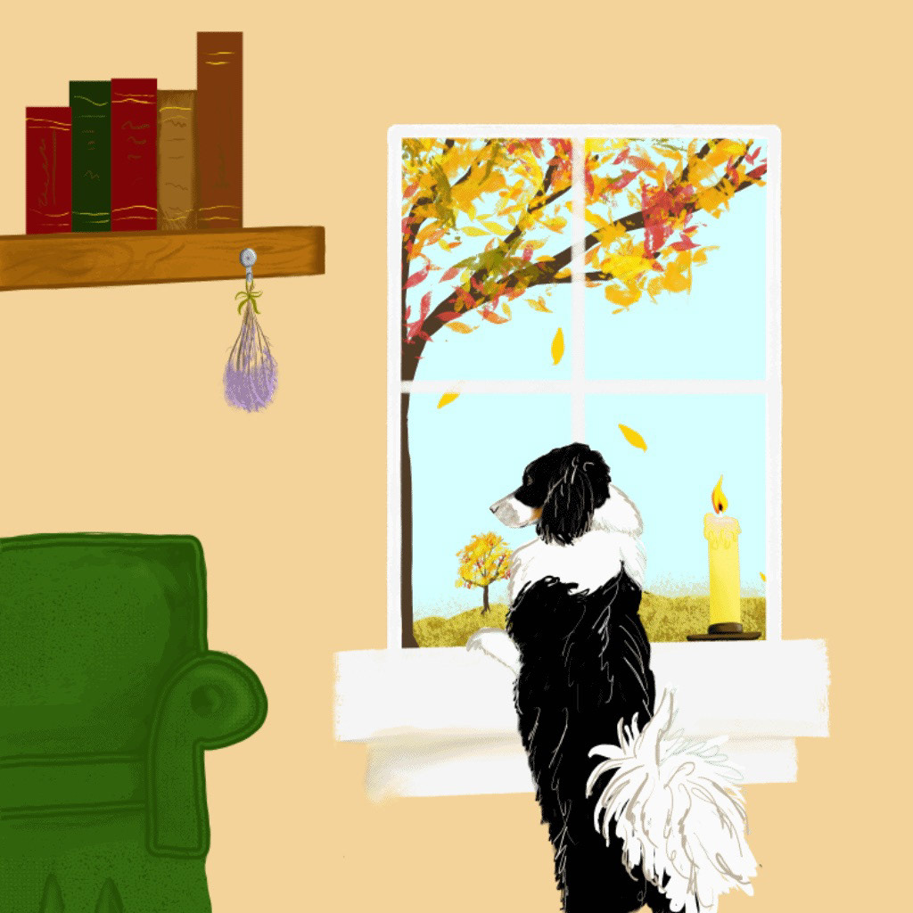 Adobe Fresco Animation