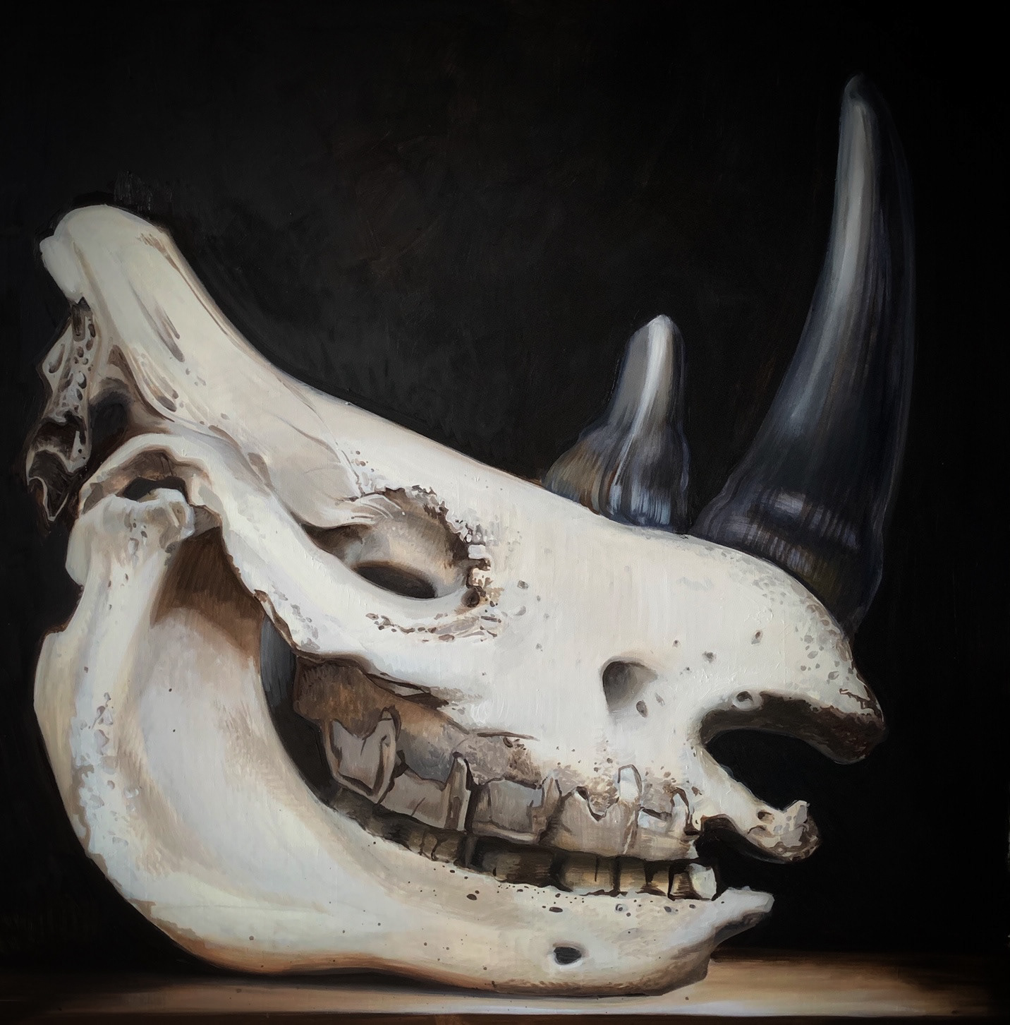 White Rhino. Went Extinct 2018, 100 x 100 cm, oil/canvas, 2019, London