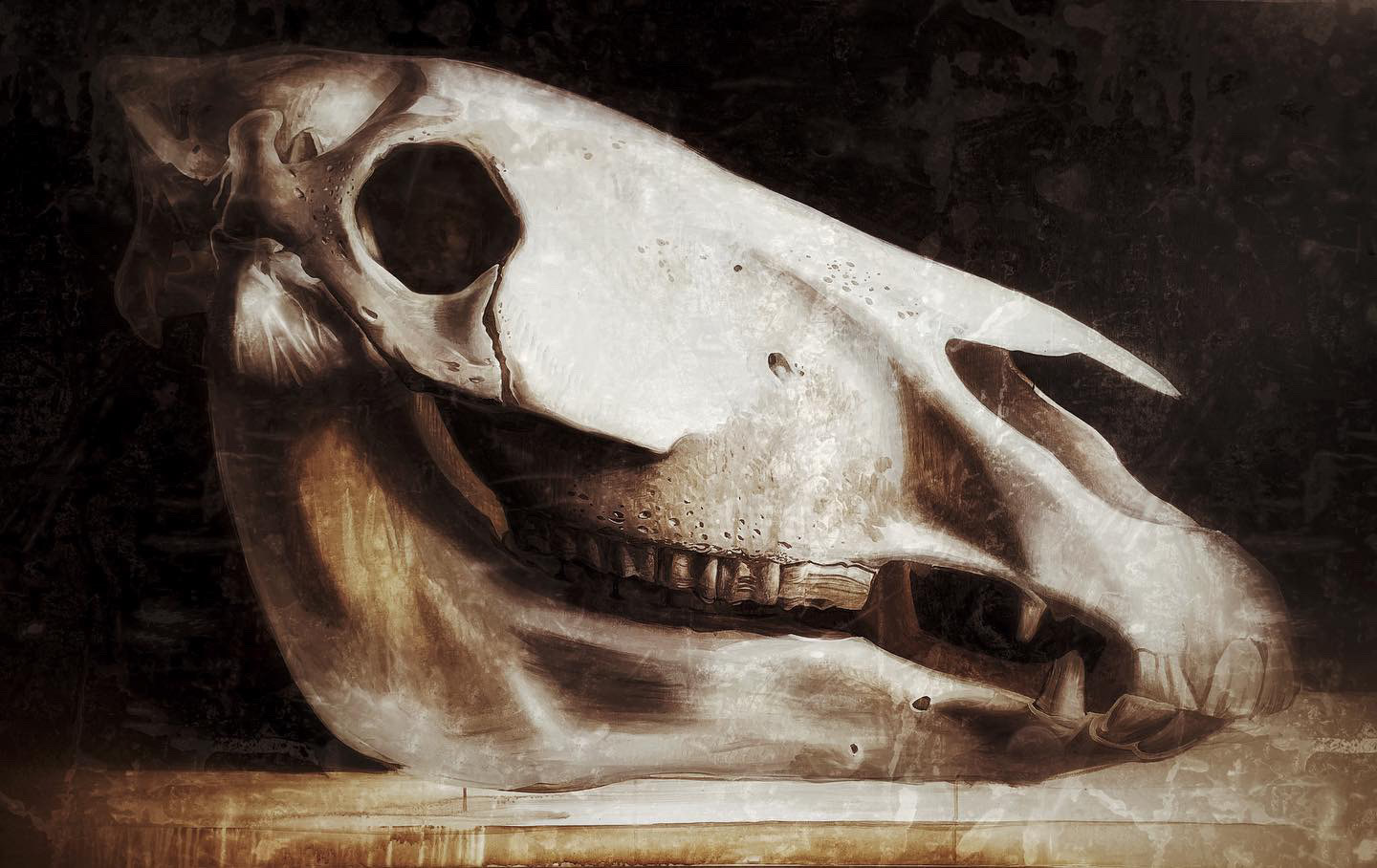 Quagga. Went extinct 1973, 100 x 160 cm, oil/canvas, 2019, London