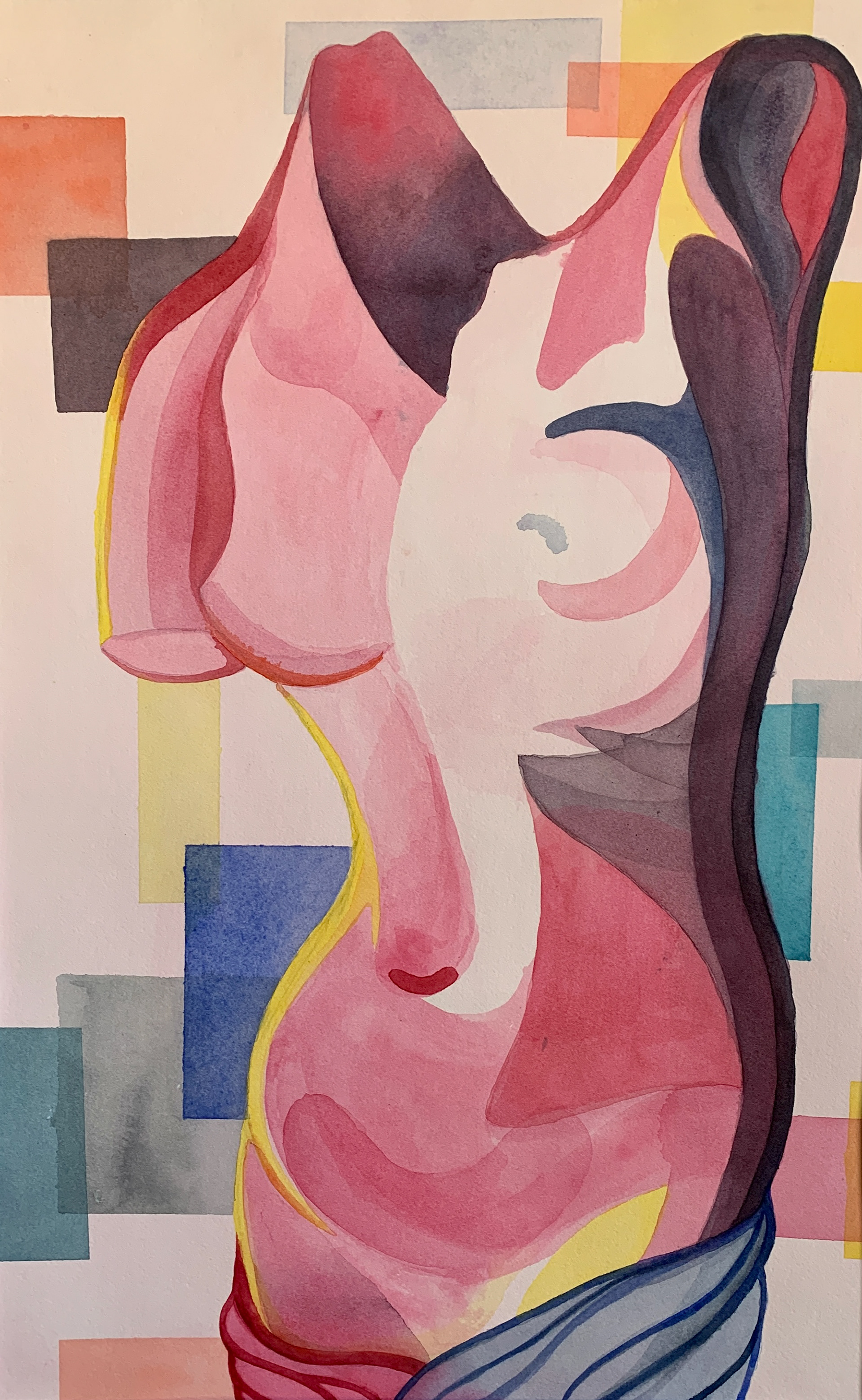 Shapes of Venus