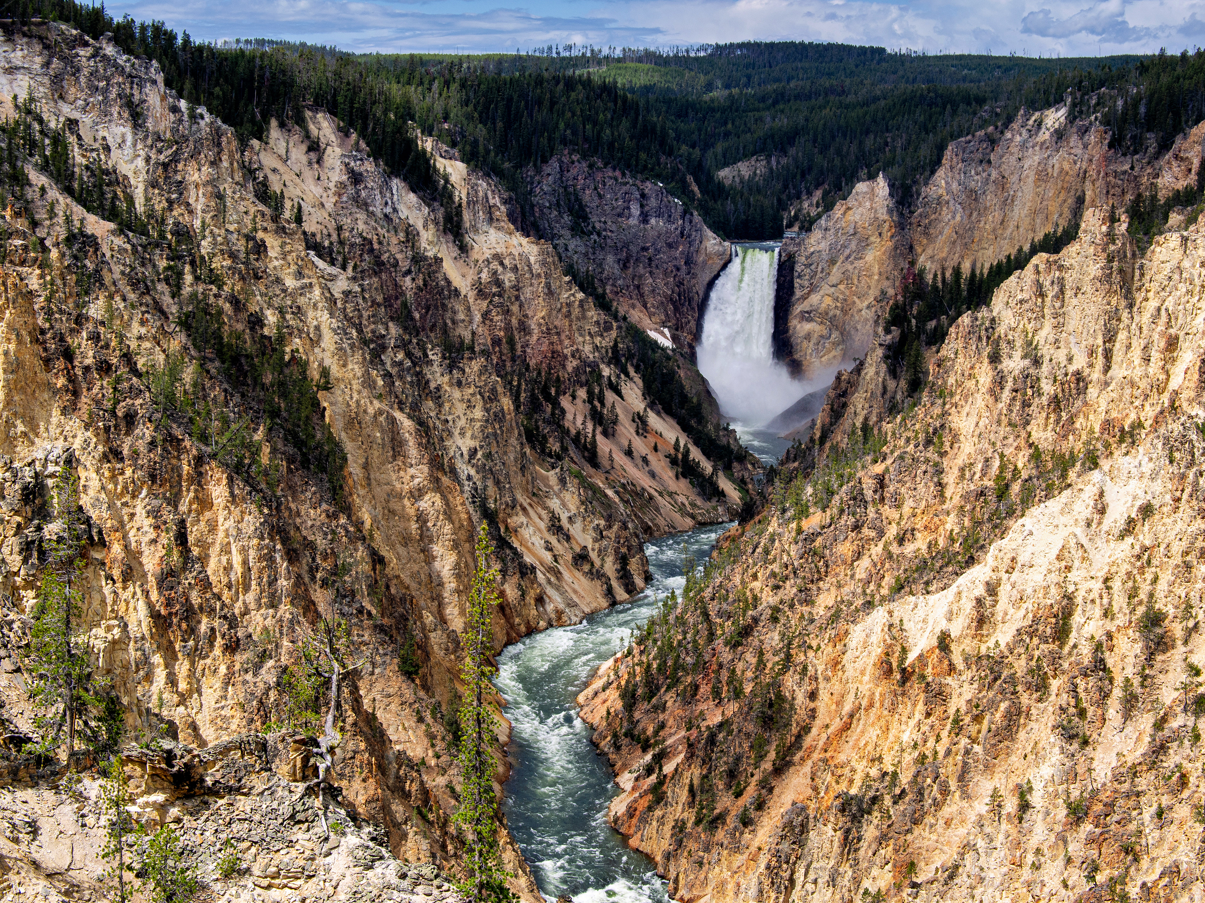 Yellowstone -Tower Falls