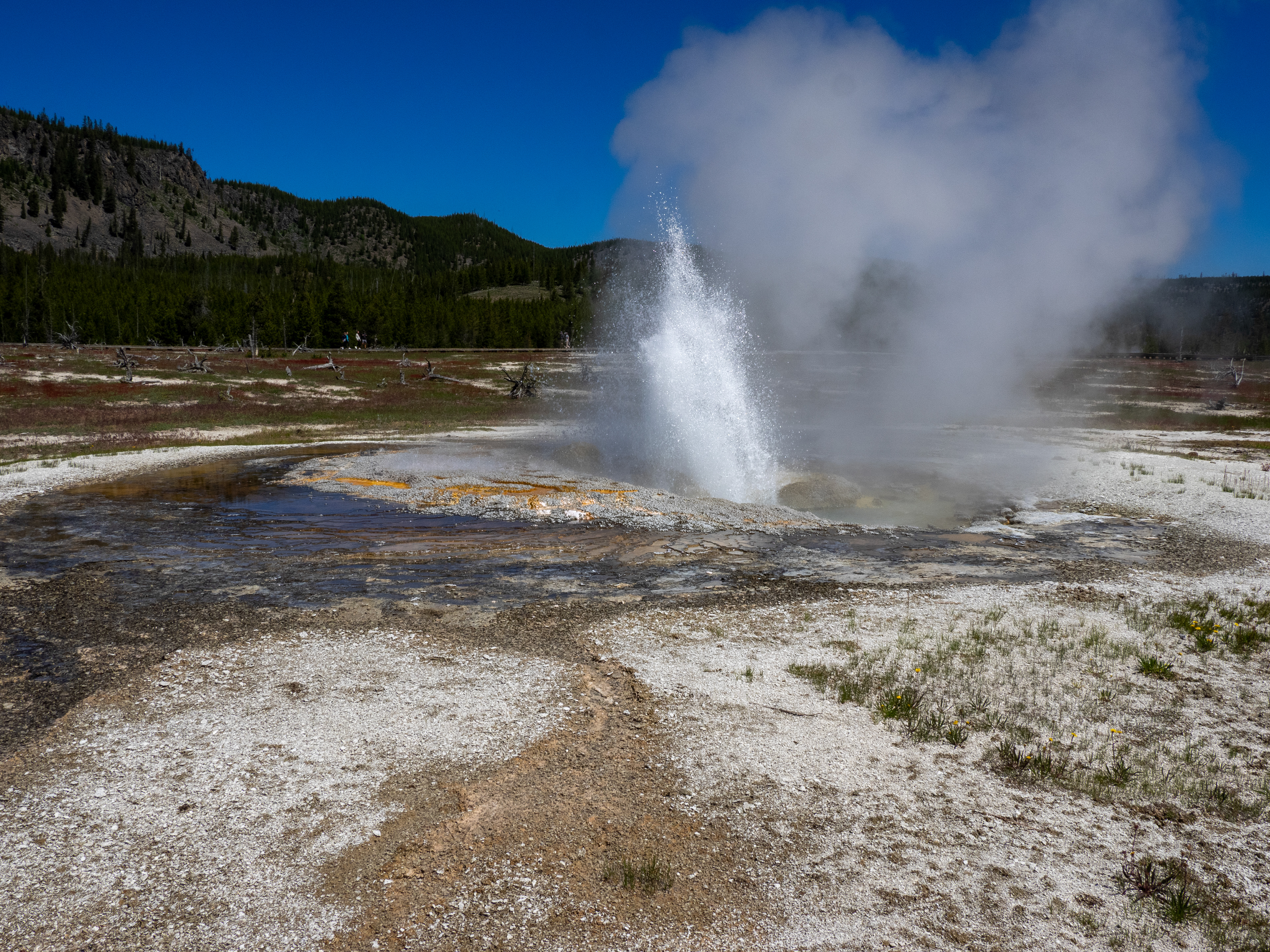 Yellowstone