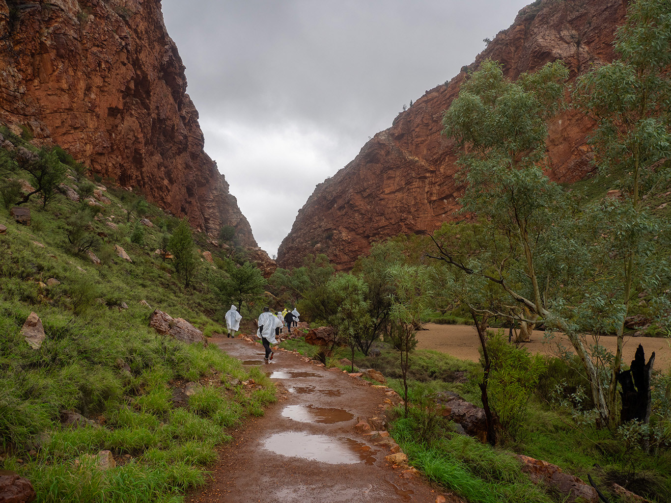 Près d'Alice Springs
