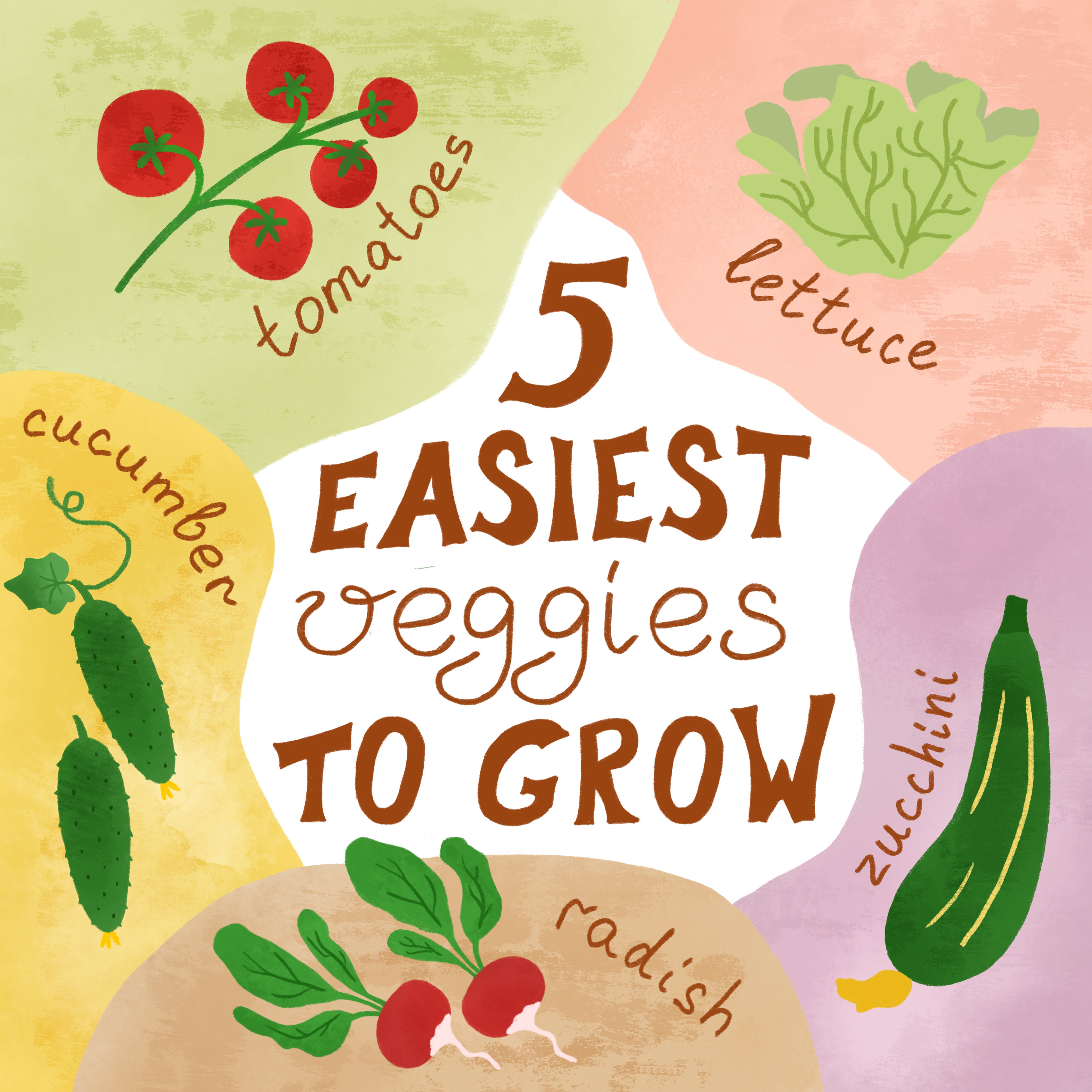 5 easiest veggies to grow. Cute watercolor illustration about gardening