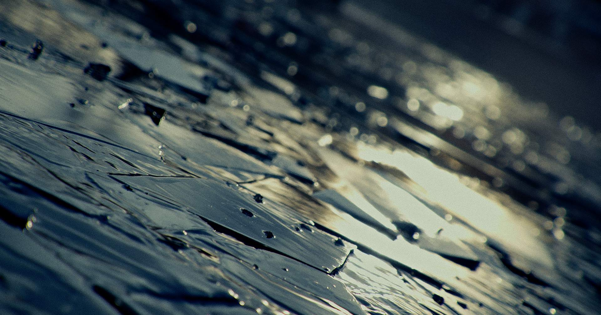 La Forêt du Loup - Yuston XIII