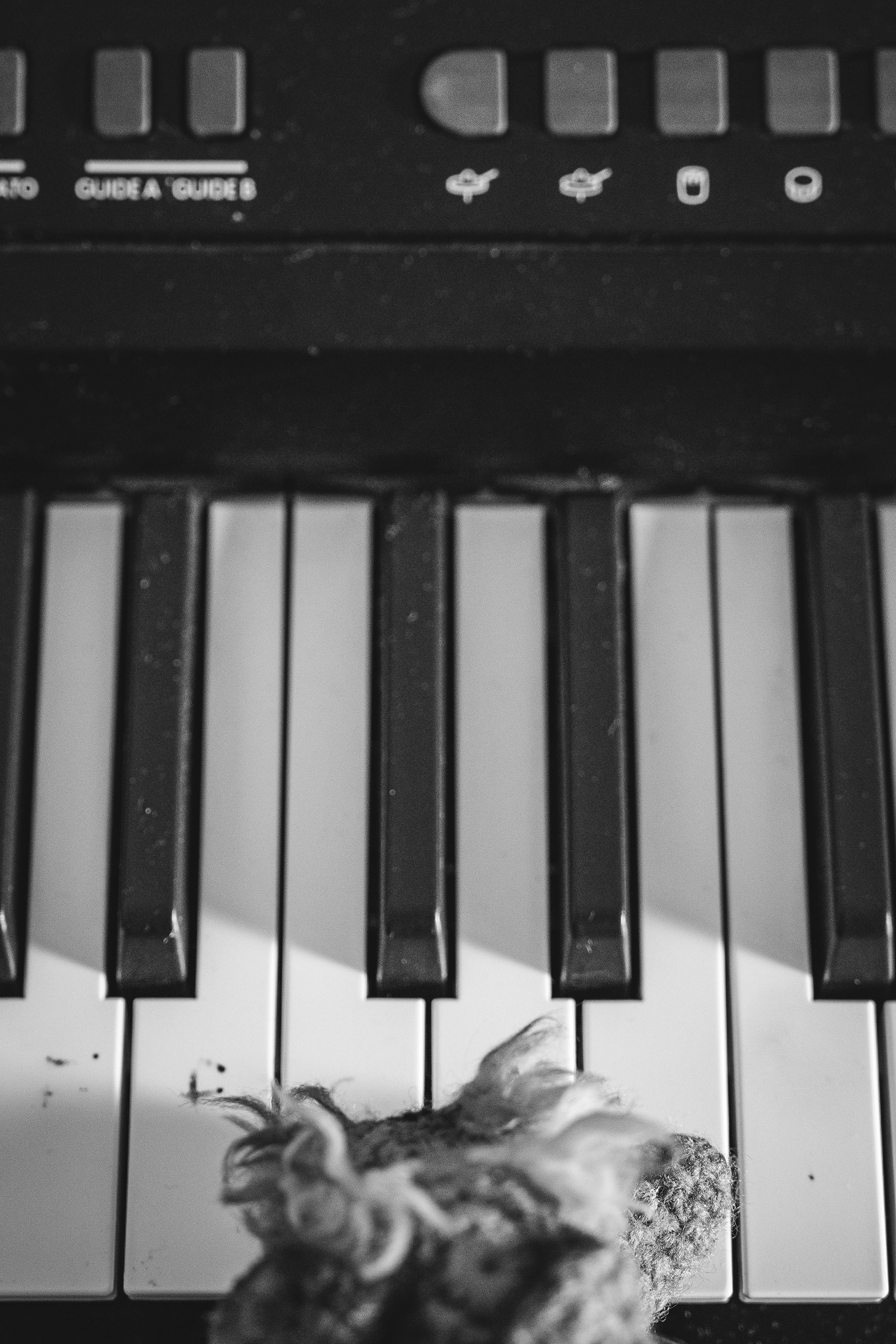 Y cómo le gustó tanto la canción tuvo que acompañarla con el piano.