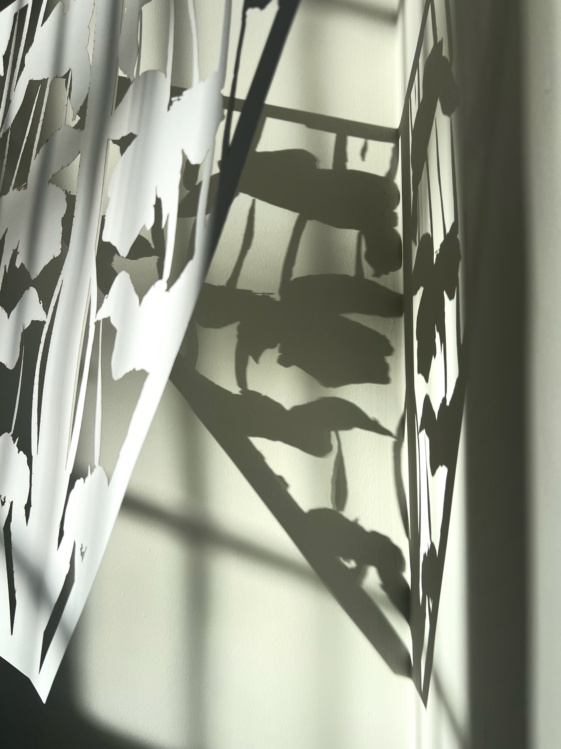 Macro Image of Initial Iteration of Trellis