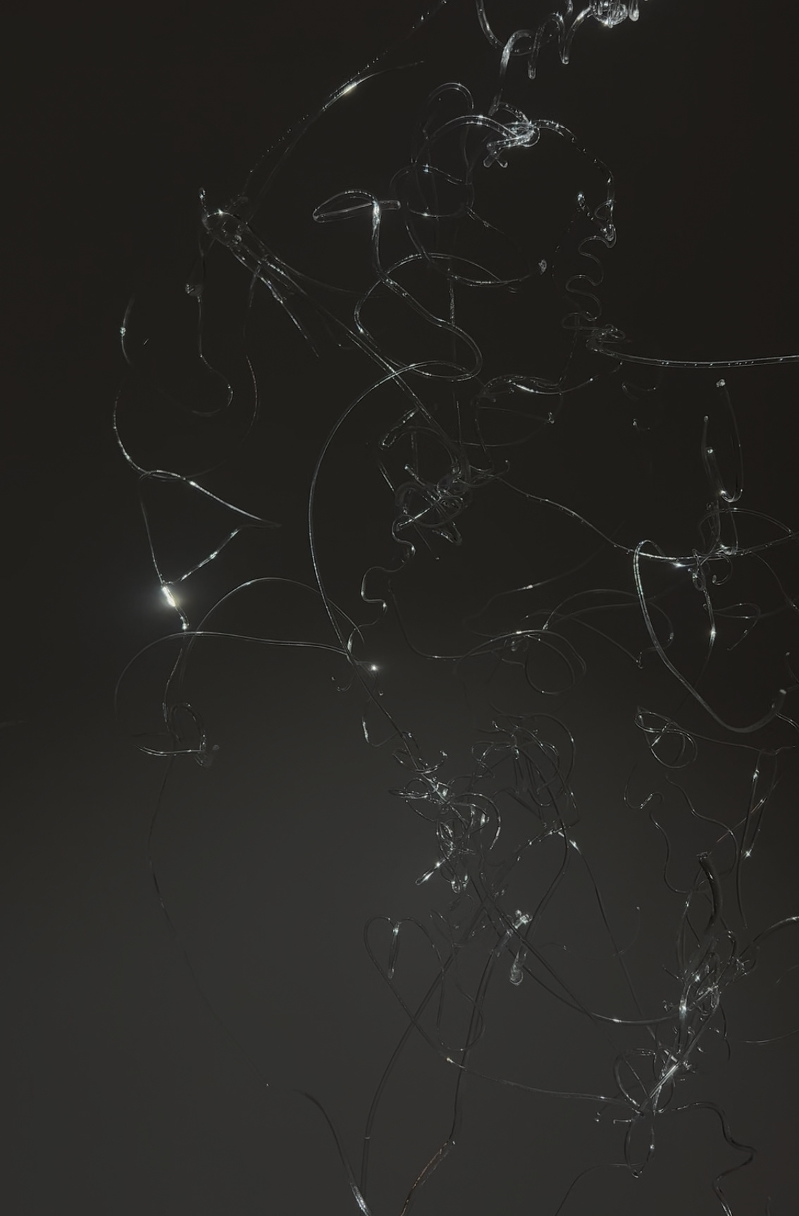 Macro Image of the initial install