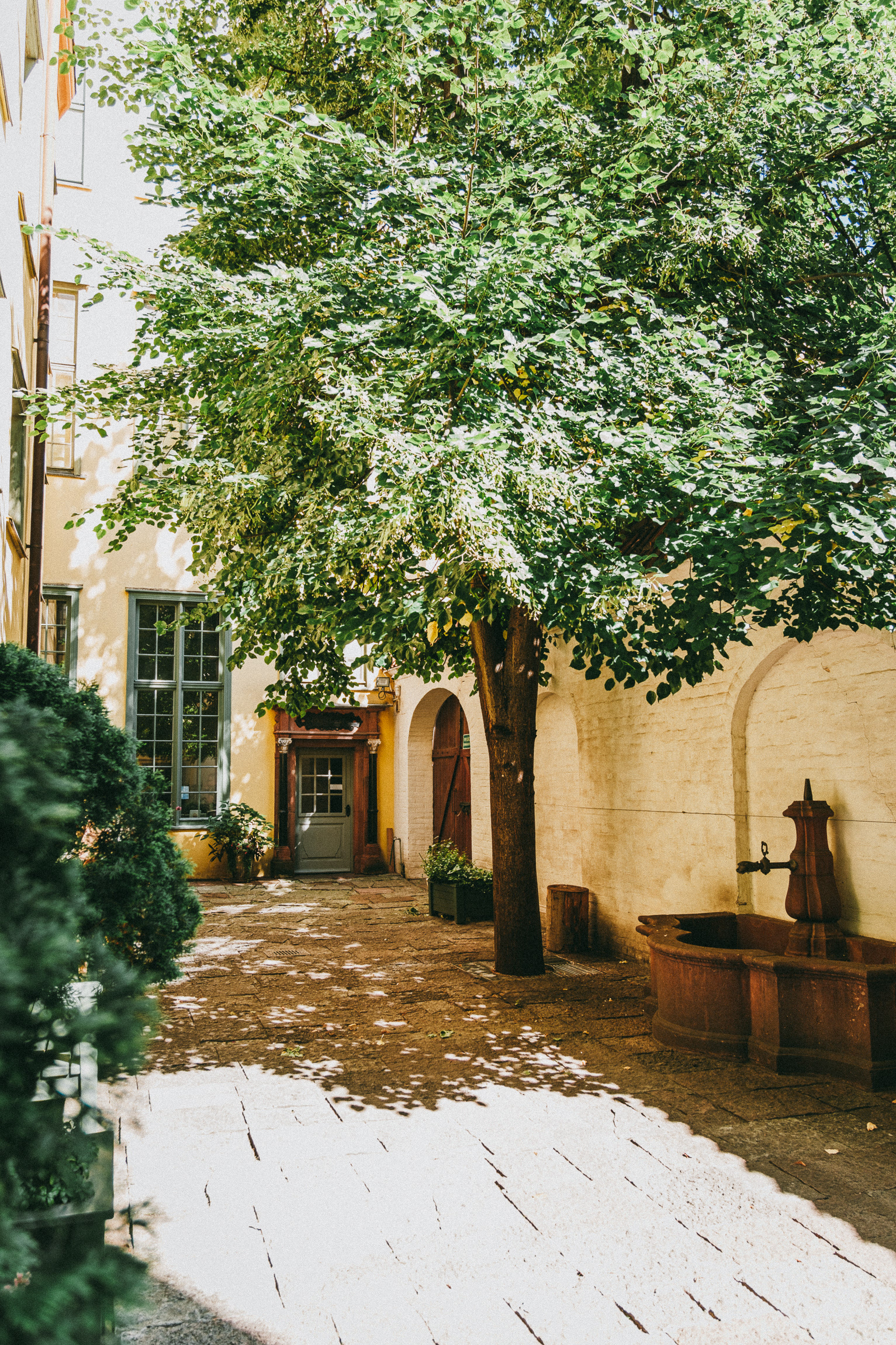 Dom Uphagena Gdańsk 2024