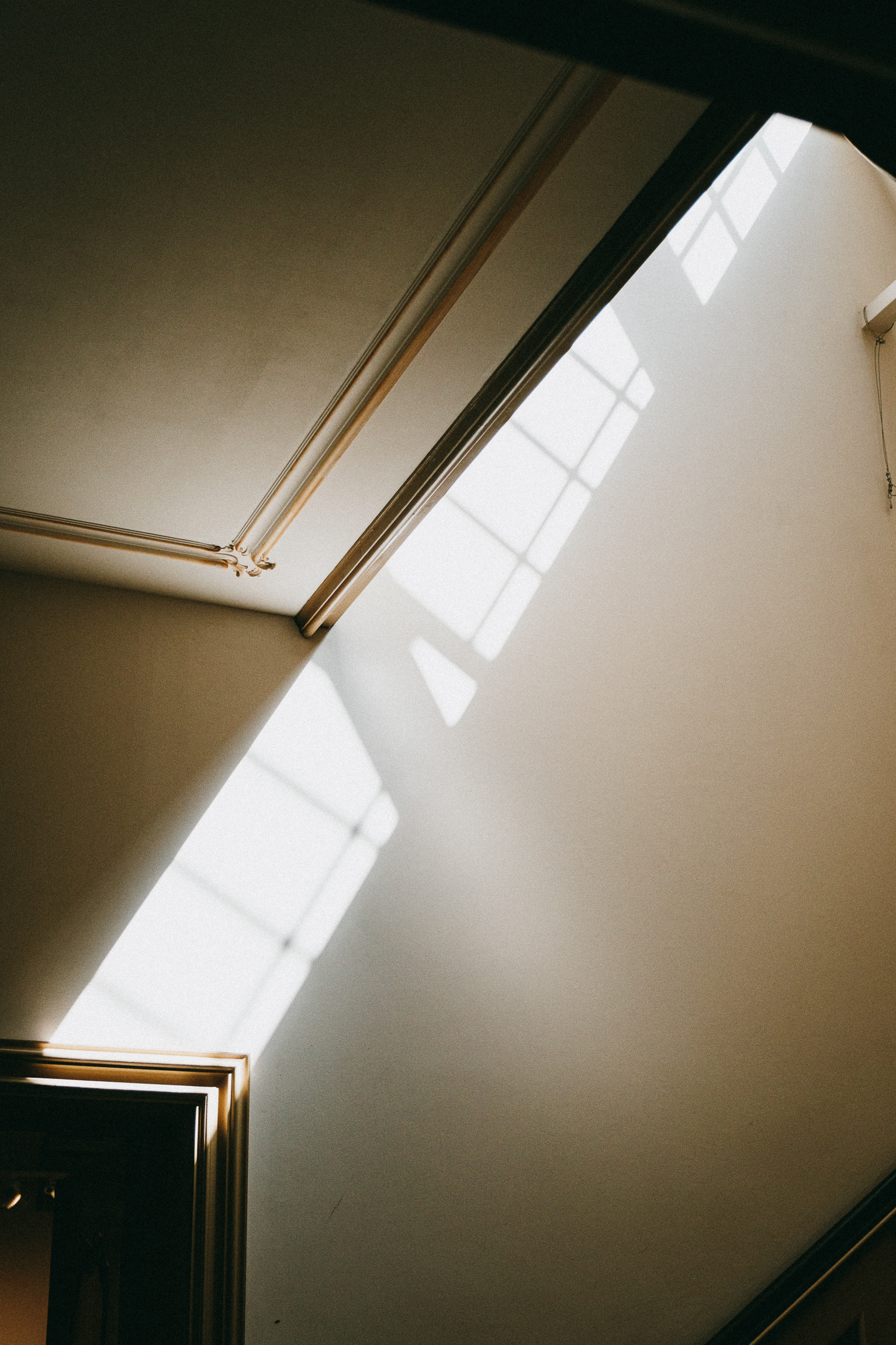 Dom Uphagena Gdańsk 2024