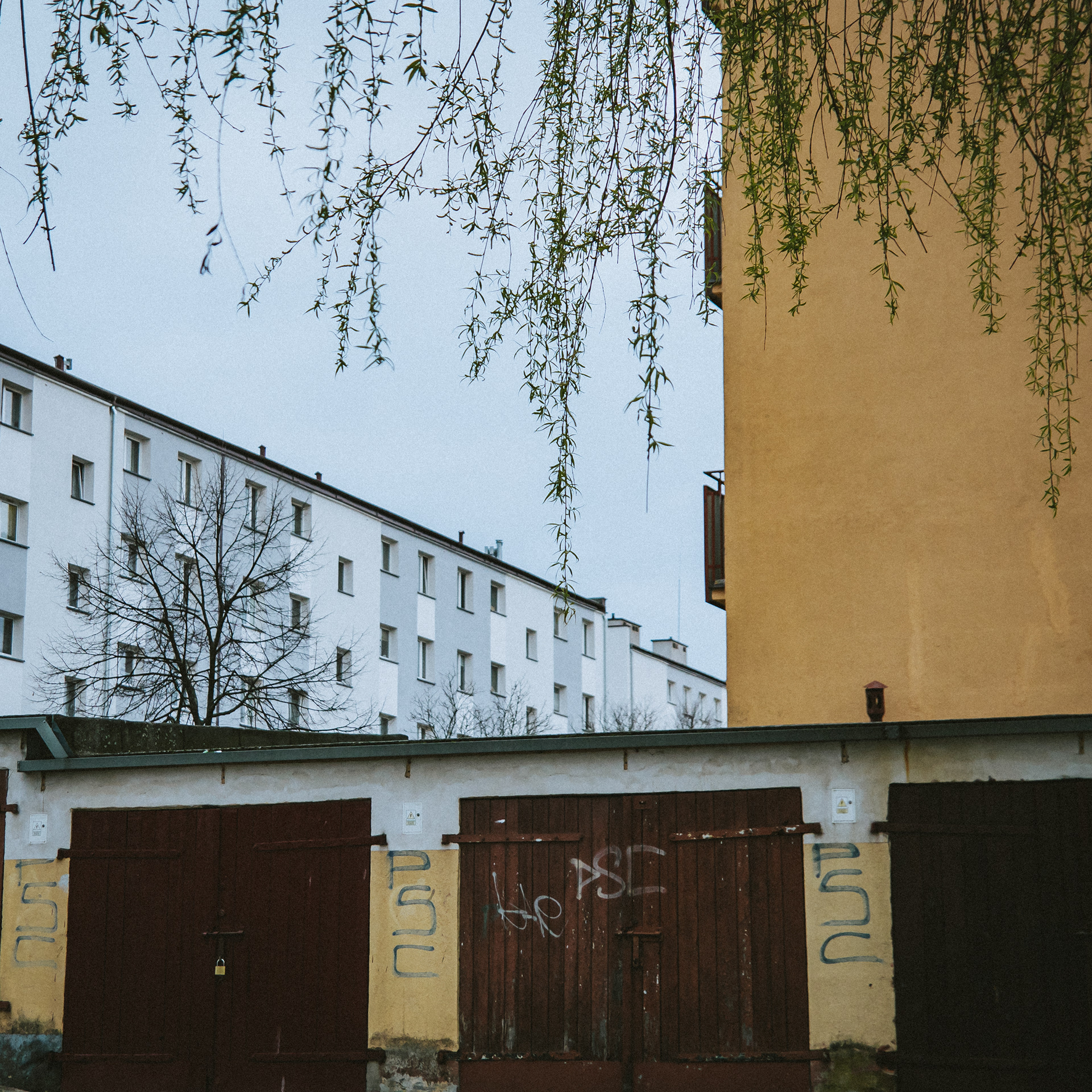 Starogard Gdański 2024 