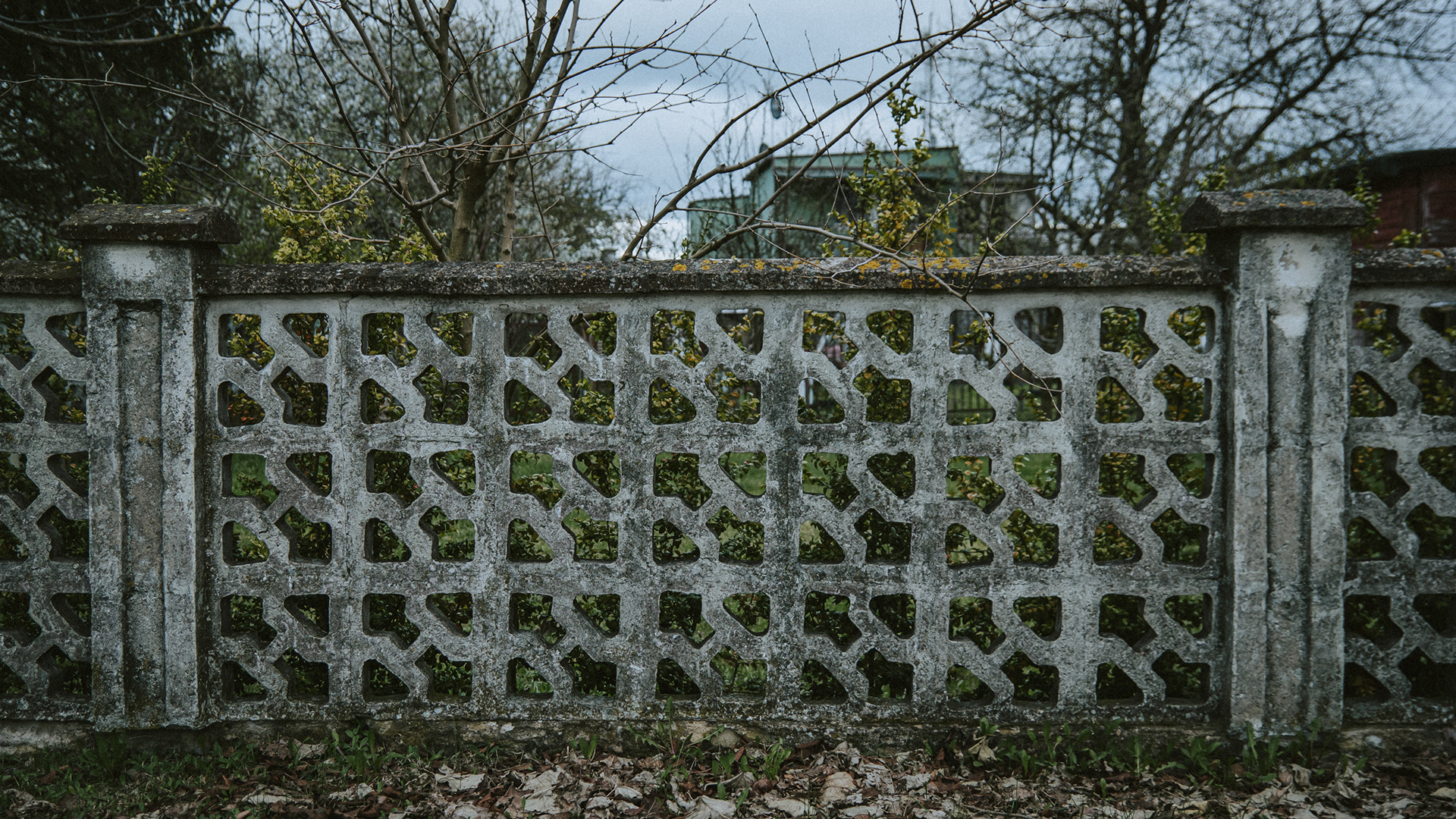 Starogard Gdański 2024 