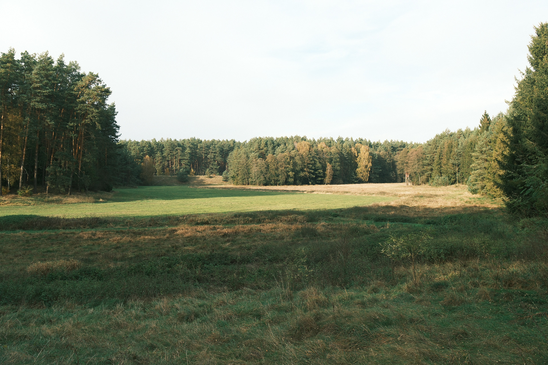 Ocypel Jesień 2024
