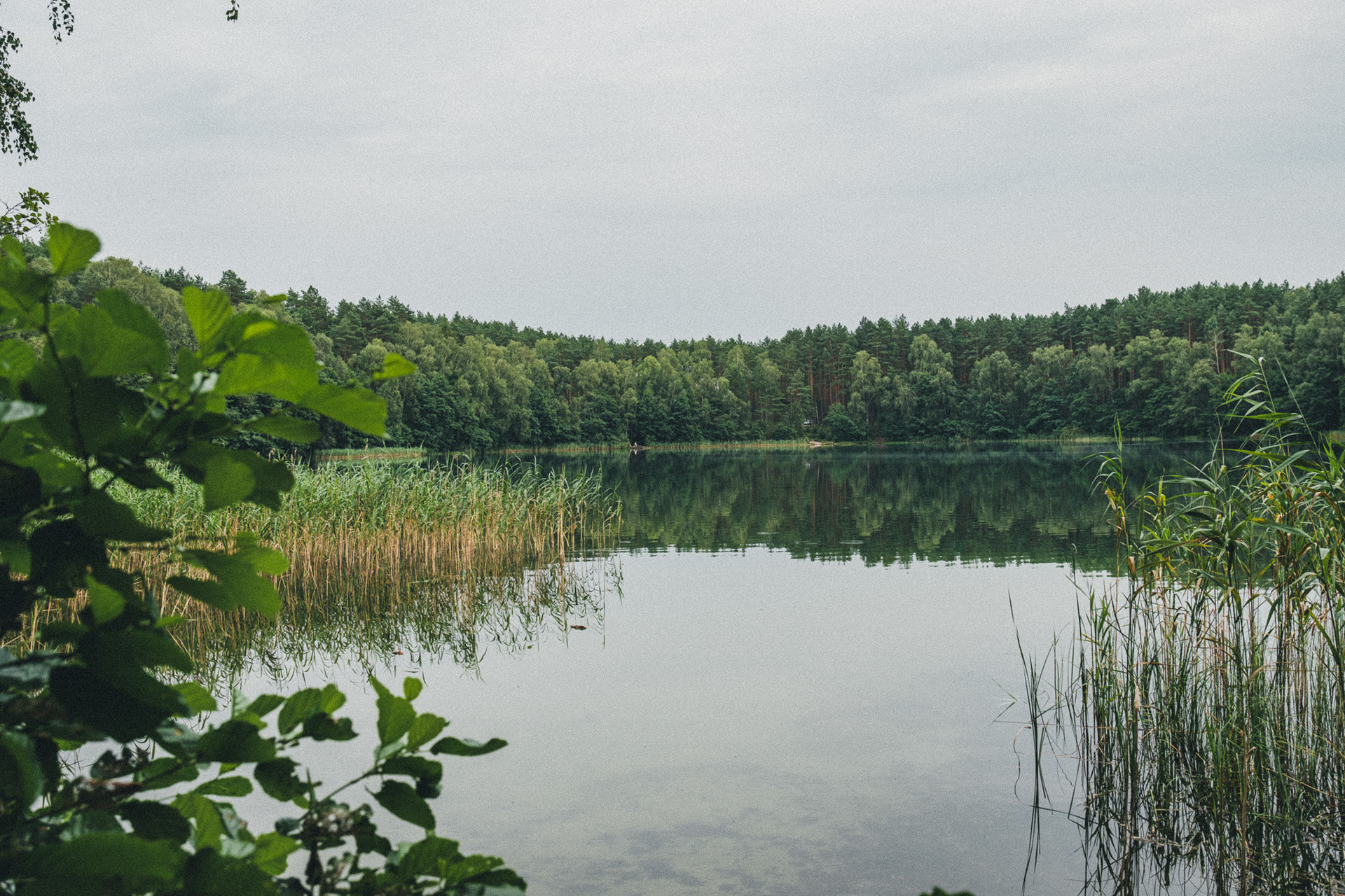 Ocypel 2024 Jezioro Małe