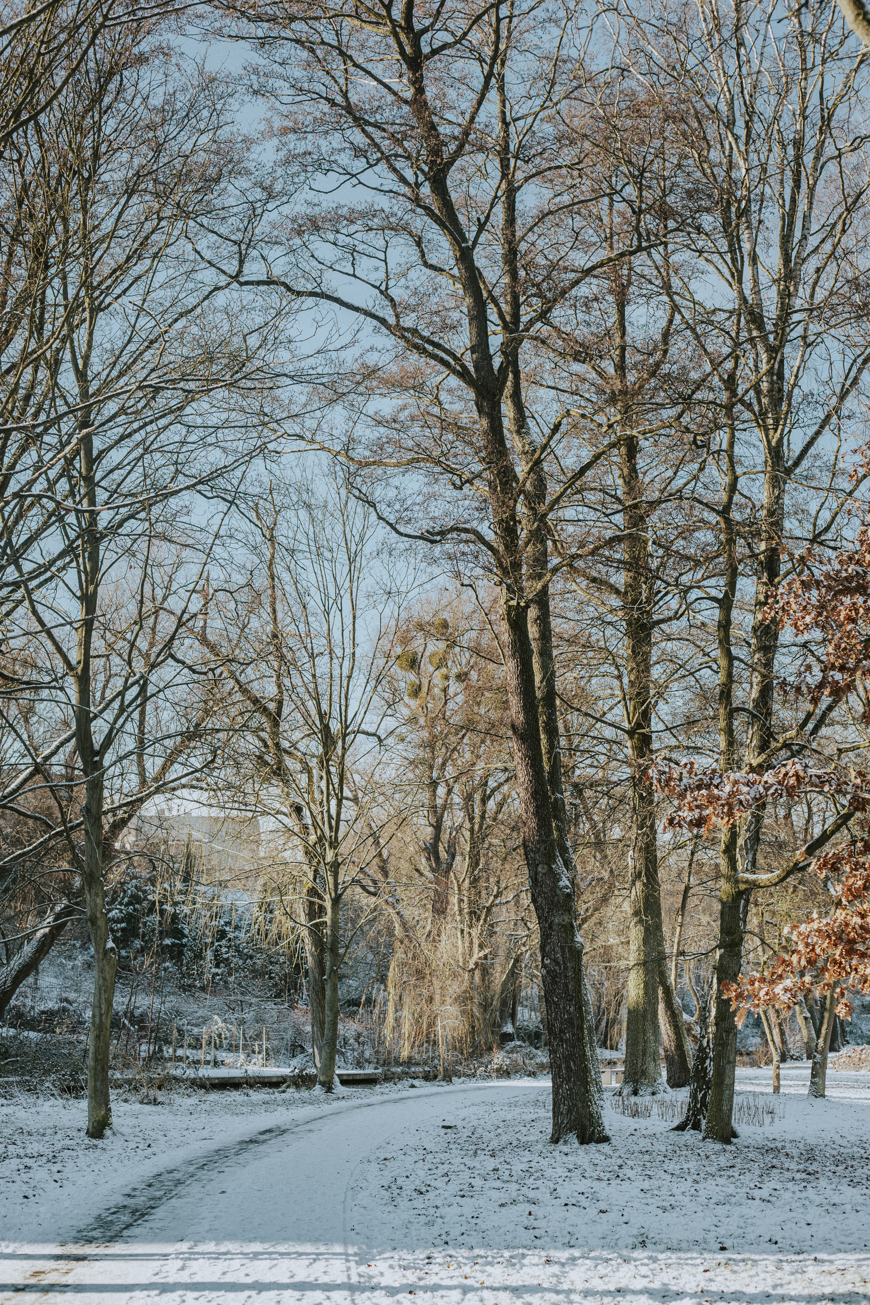 Starogard Gdanski Zima 2023