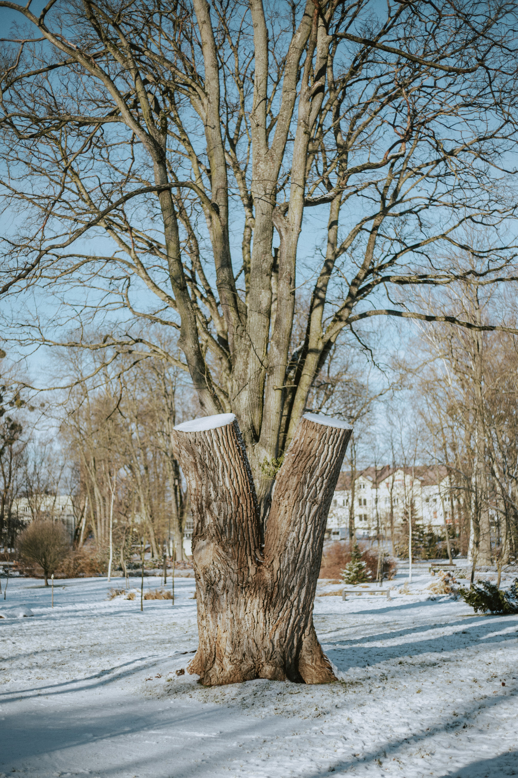 Starogard Gdanski Zima 2023