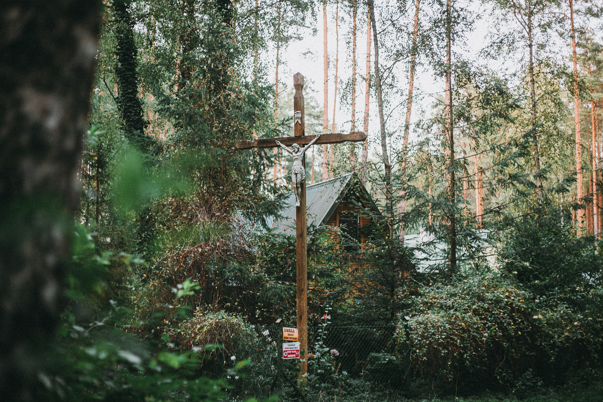 Głuche Późne lato 2024