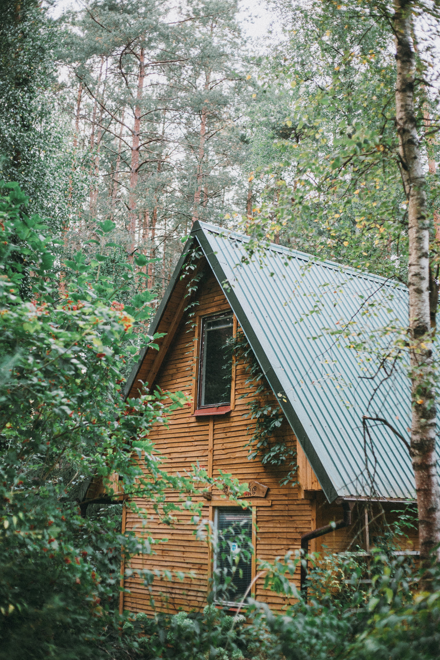 Głuche Późne lato 2024