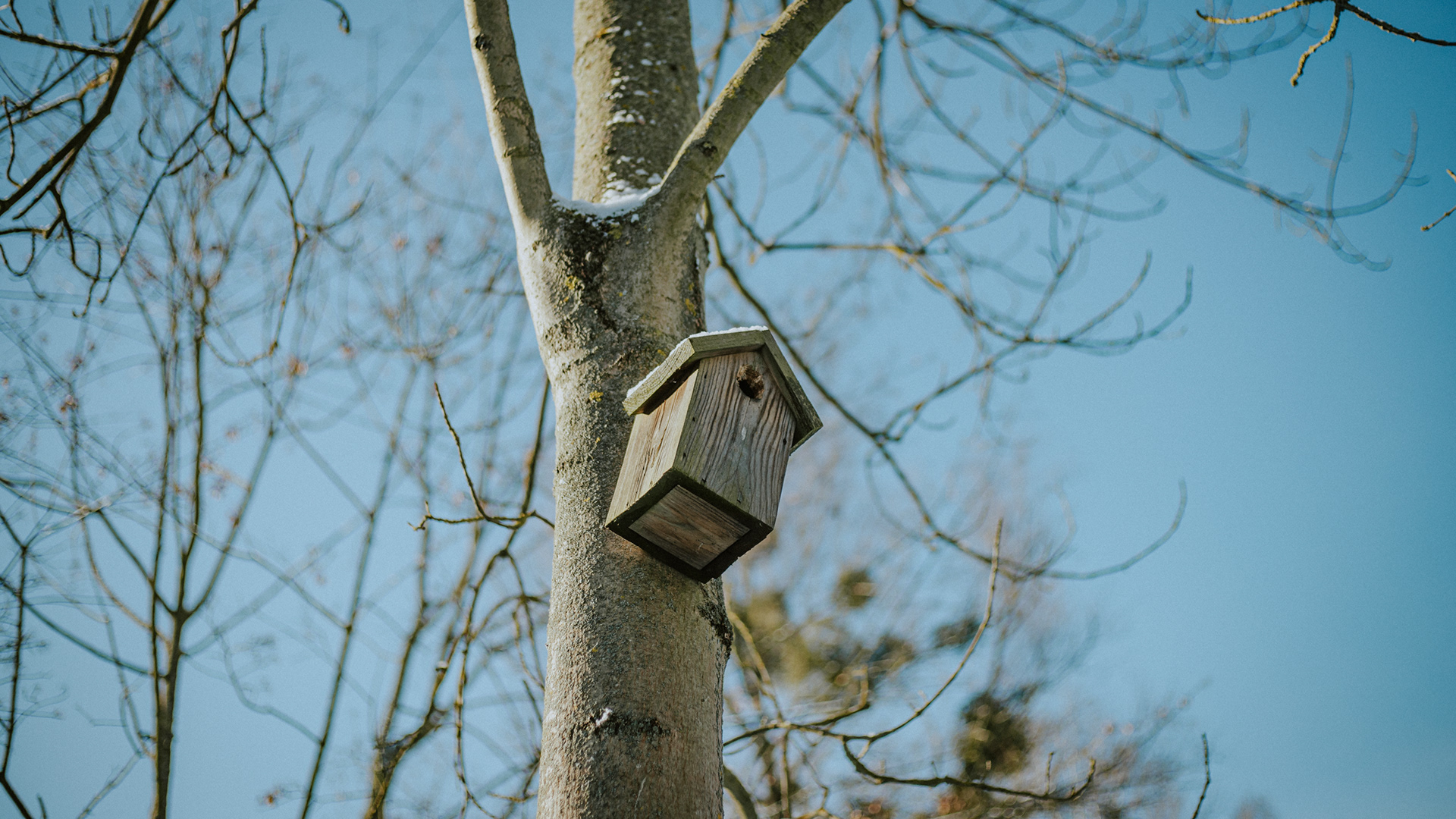 Starogard Gdanski Zima 2023