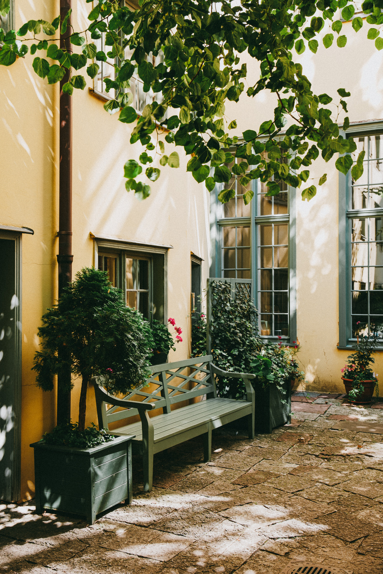 Dom Uphagena Gdańsk 2024